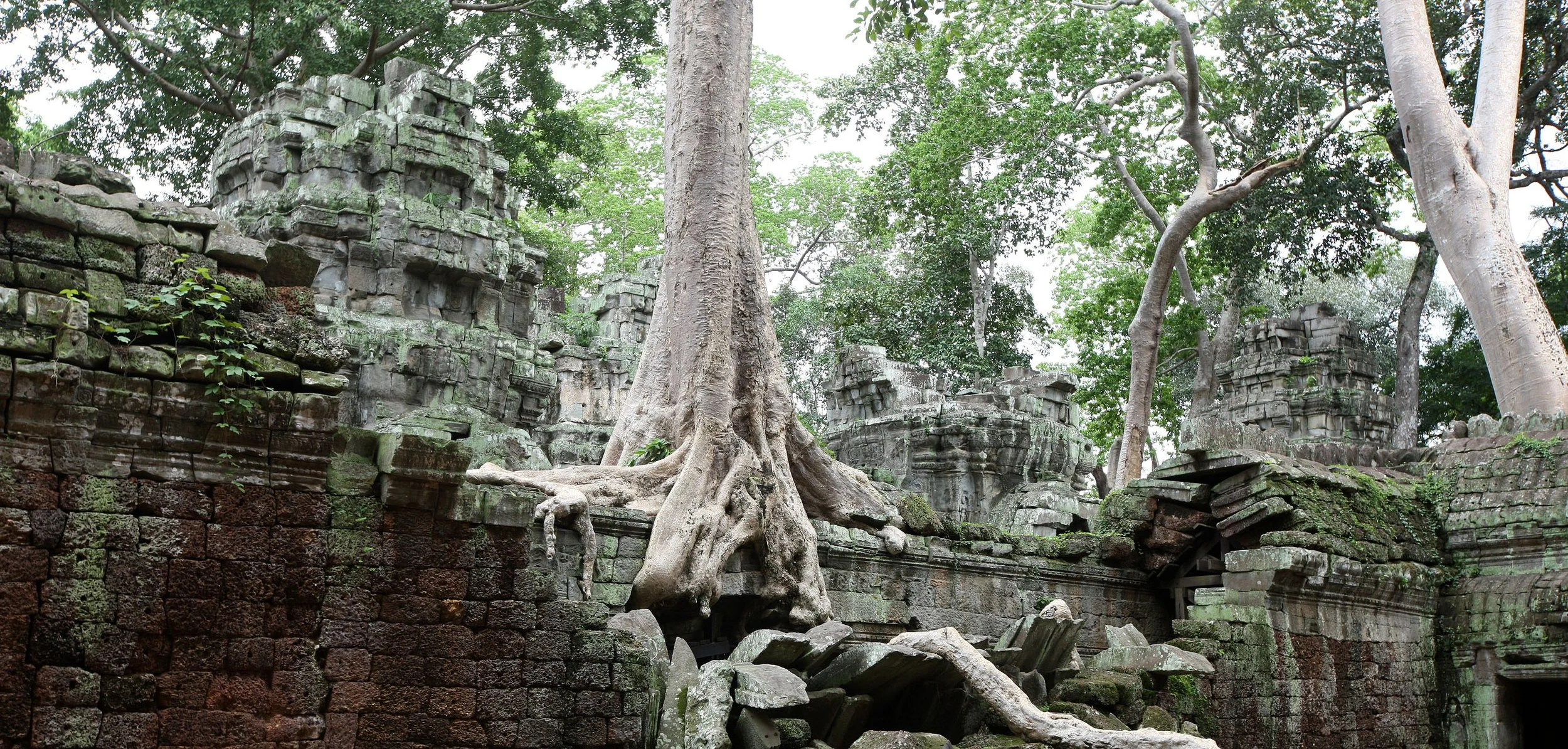 TA PROHM TEMPLE CAMBODIA - JULY 2010 (6).JPG