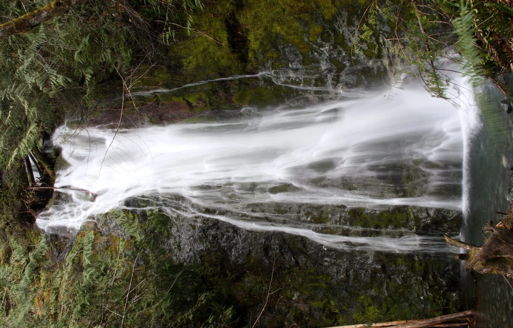 MADISON FALLS - ELWHA VALLEY - SPRING 2009.JPG