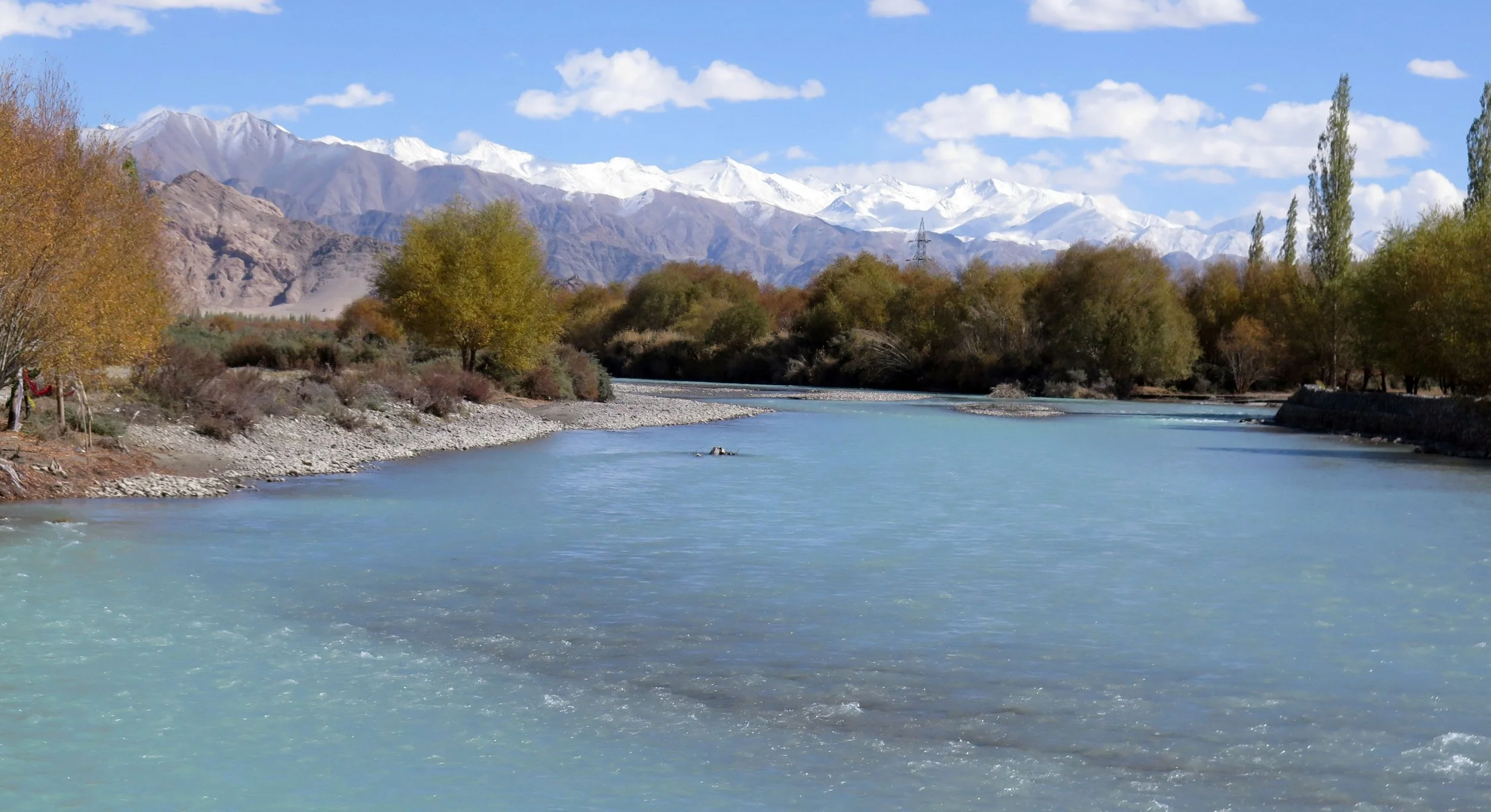 LEH - LADAKH INDIA - SNOW LEOPARD TRIP 2014 (18).JPG