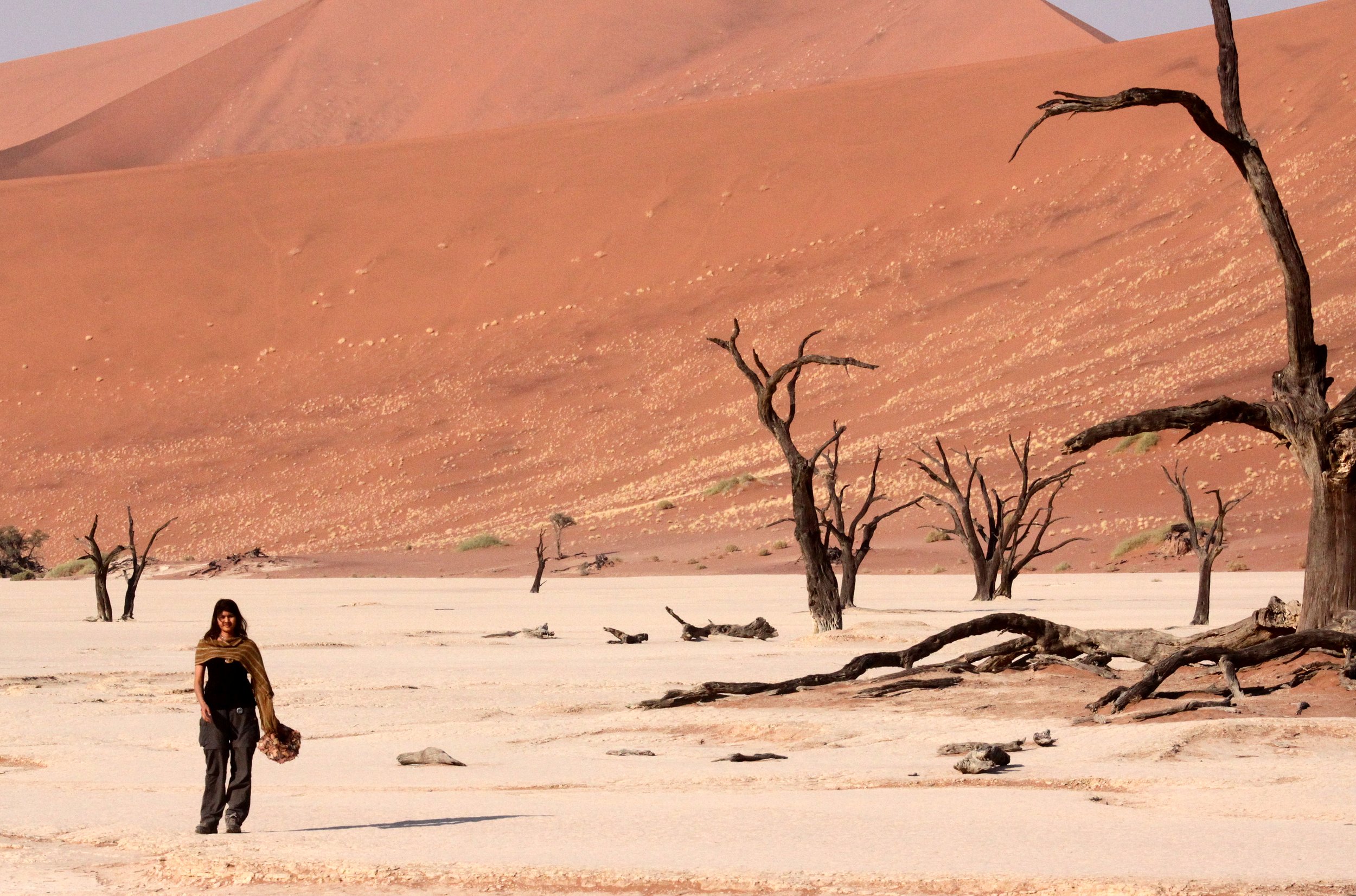 SOSSUSVLEI, NAMIB NAUKLUFT NATIONAL PARK, NAMIBIA - DEAD VLEI (70).JPG