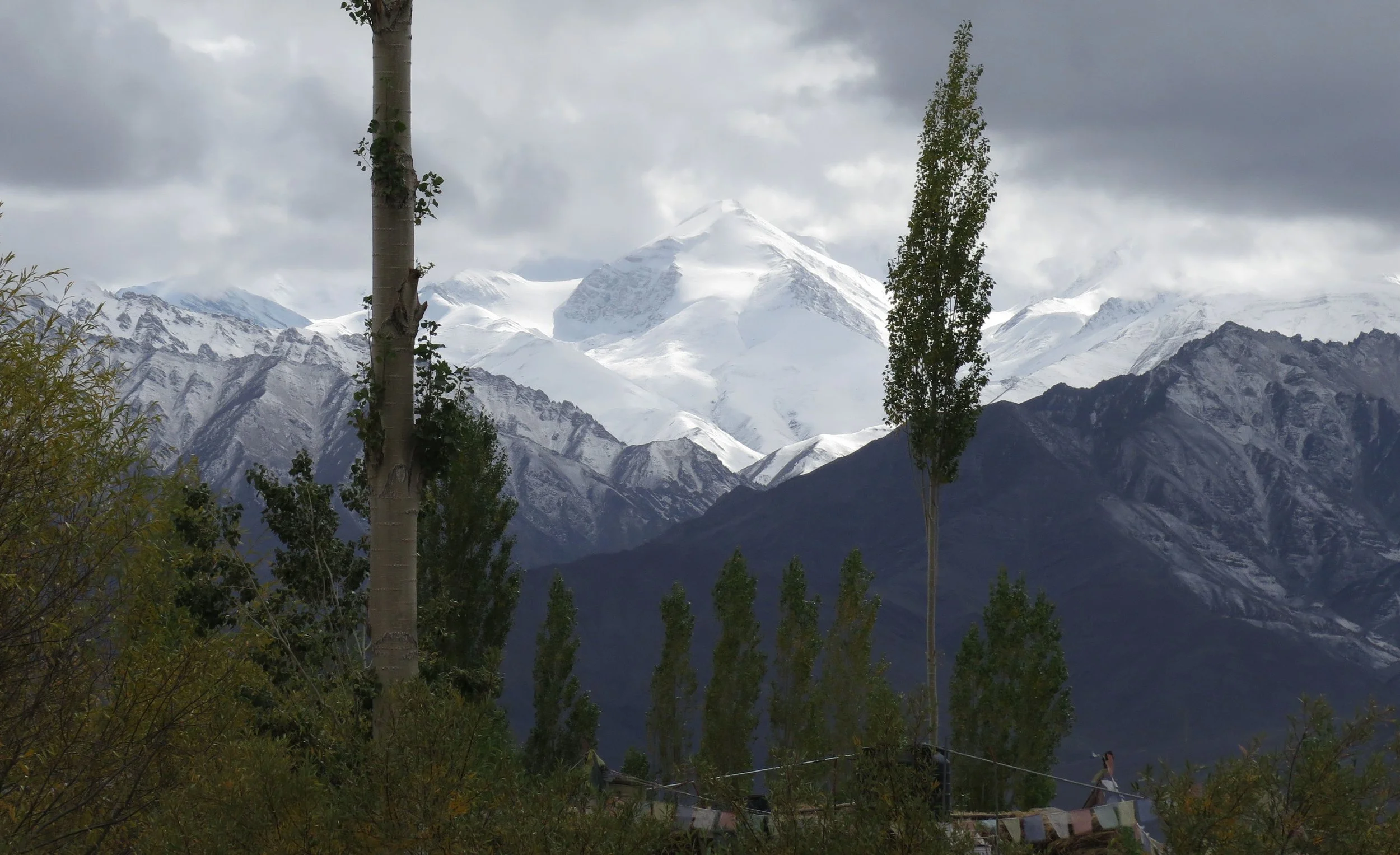 LEH - LADAKH INDIA - SNOW LEOPARD TRIP 2014 (15).JPG