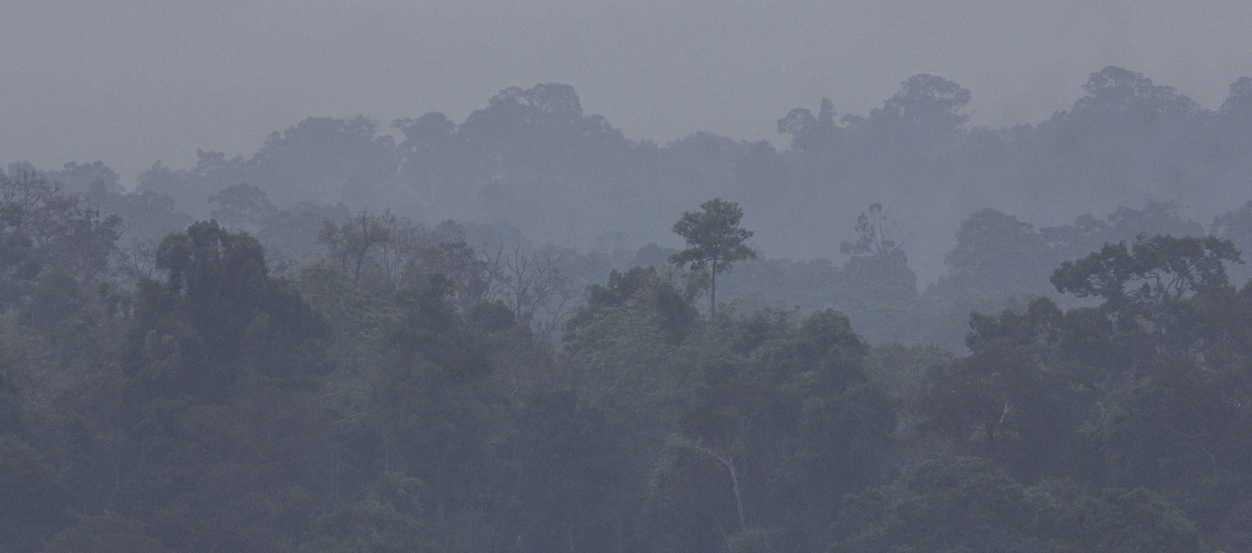 2015 Khao Pang Ma Nonhunting Area (183).jpg