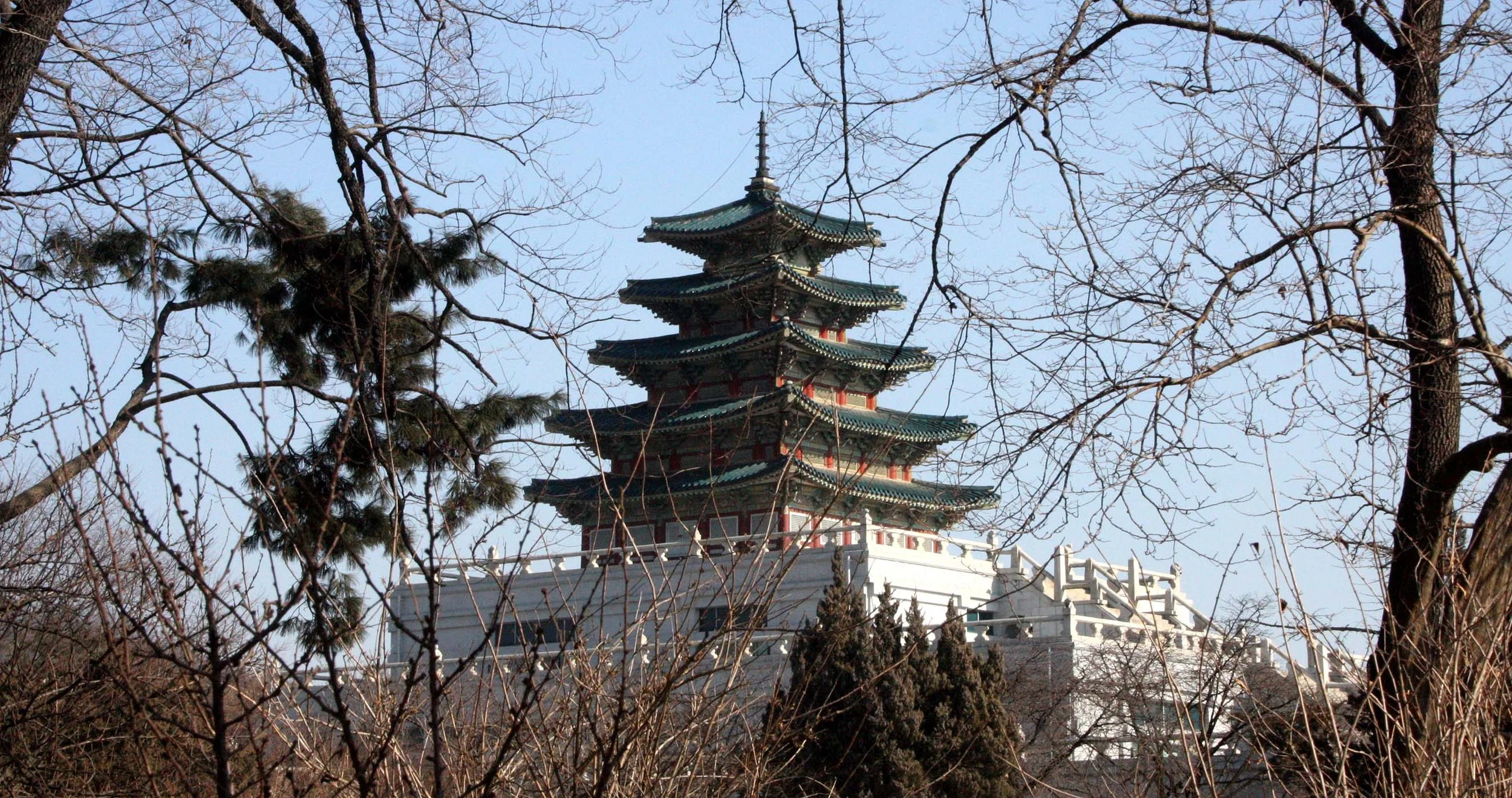 SEOUL - IMPERIAL PALACE - JAN 2009 (72).JPG