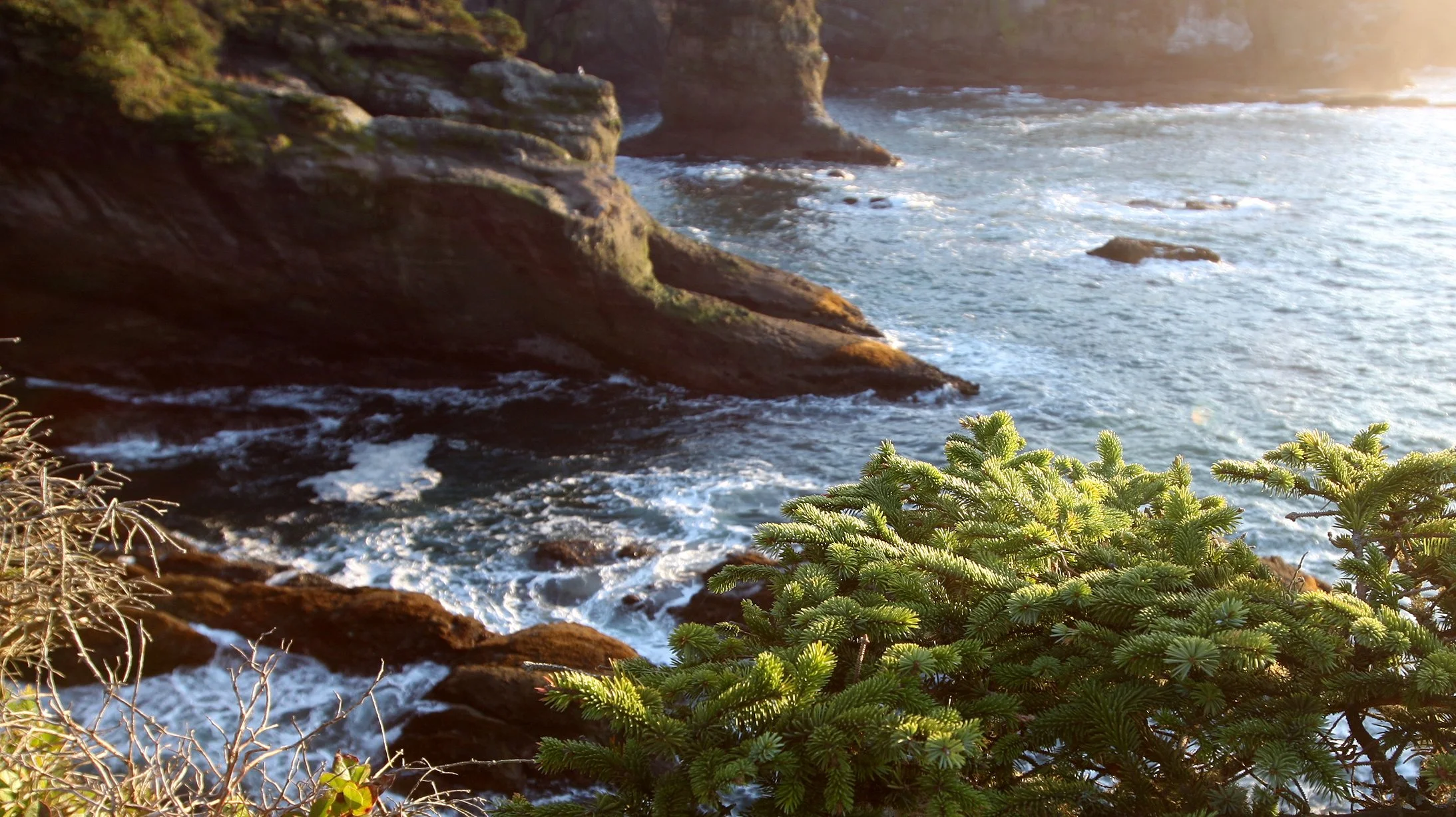 CAPE FLATTERY OLYMPIC PENINSULA - 2010-2-20 (16).JPG