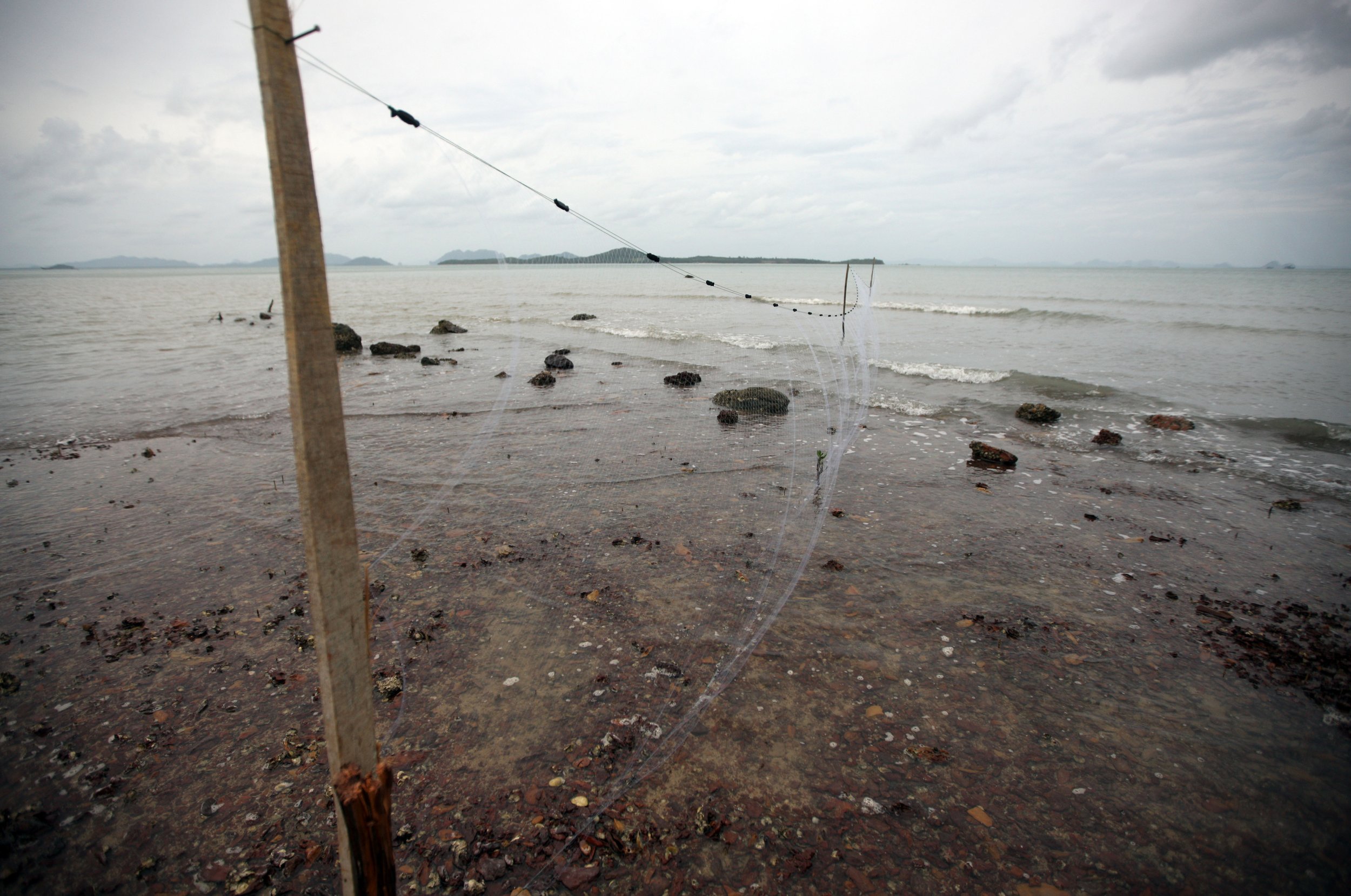 2014 Lanta Summer Fun (50).JPG