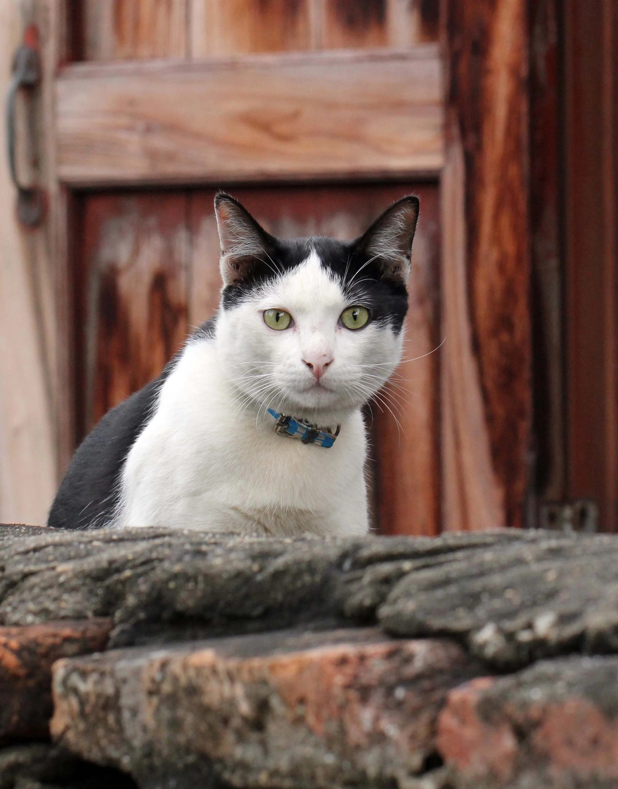 2013 Ayutthaya ISB Passion Day (166).JPG