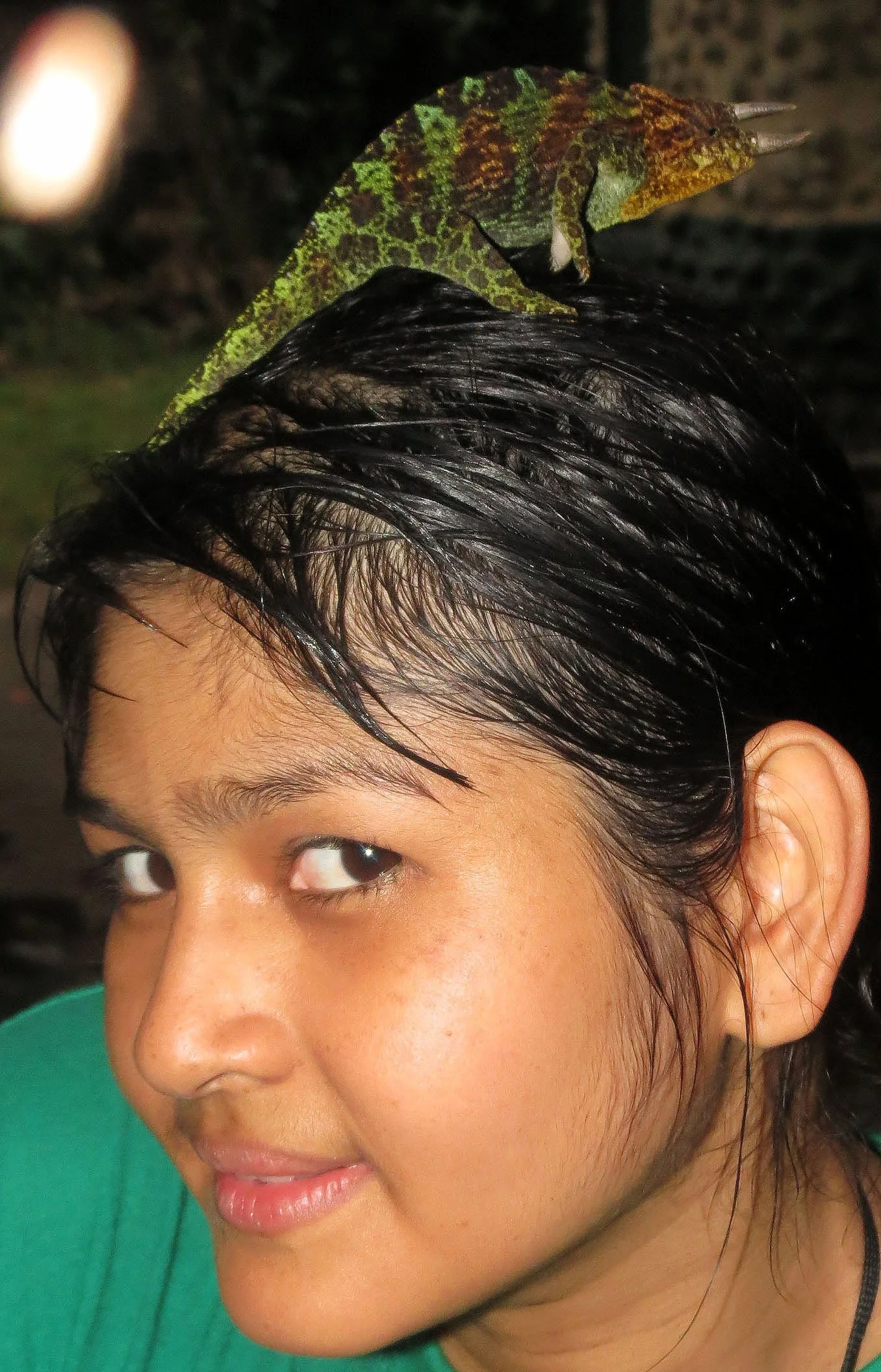RWENZORI NATIONAL PARK UGANDA (294).JPG