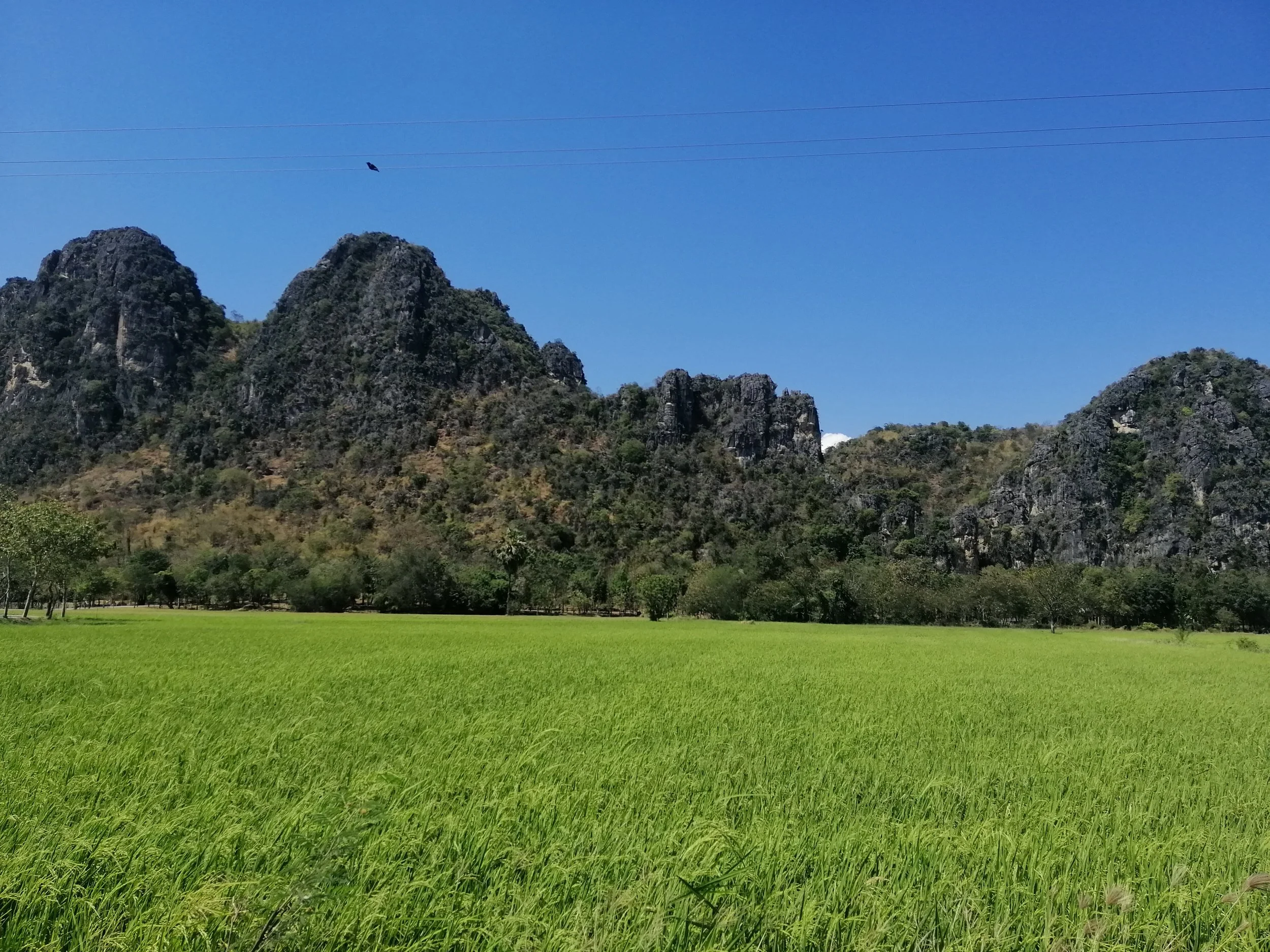 2019 Petchaburi & Cha'am Trip with Cokie & Gift (19).jpg