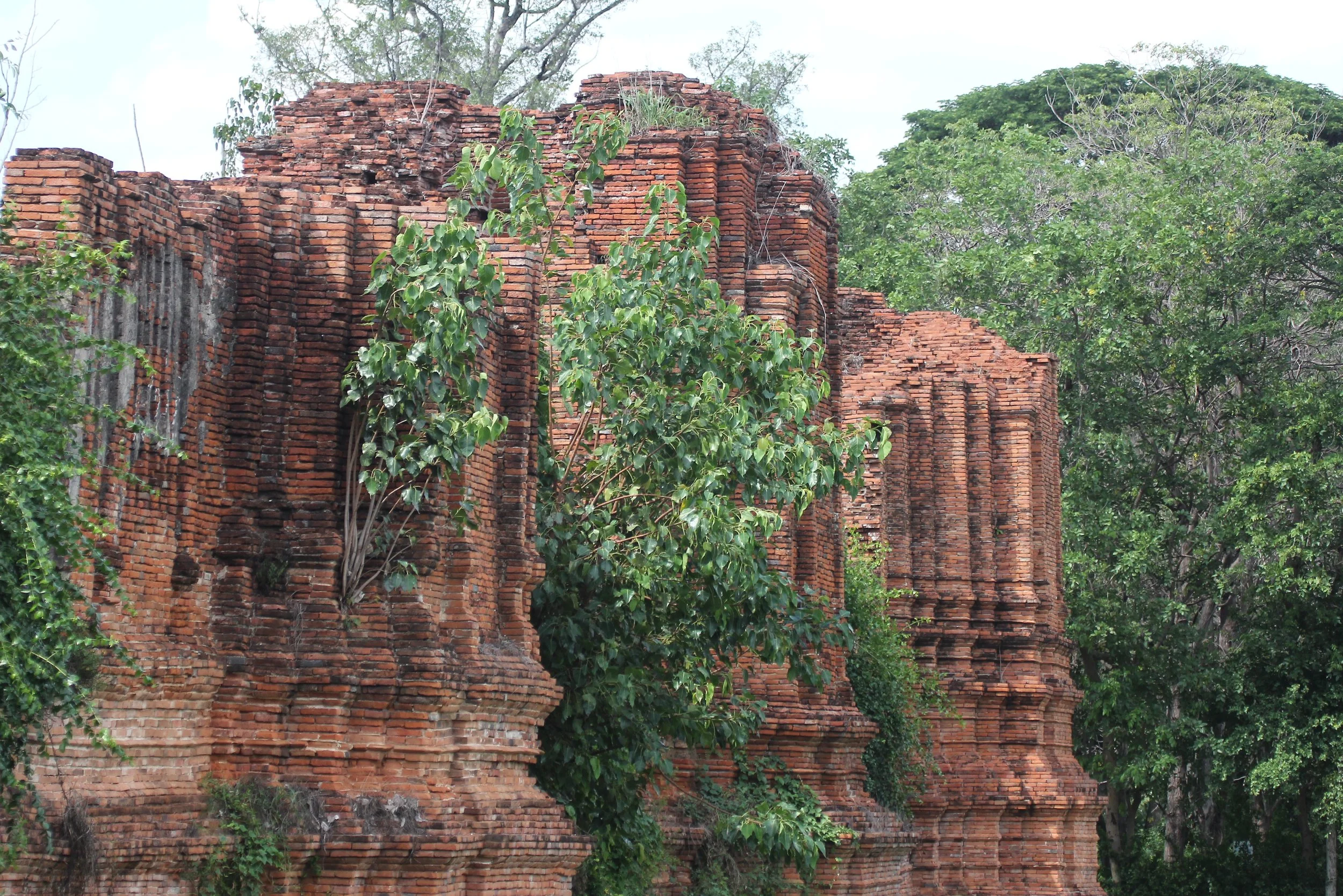 2020 - Ayutthaya Cokie's Pictures (211).JPG