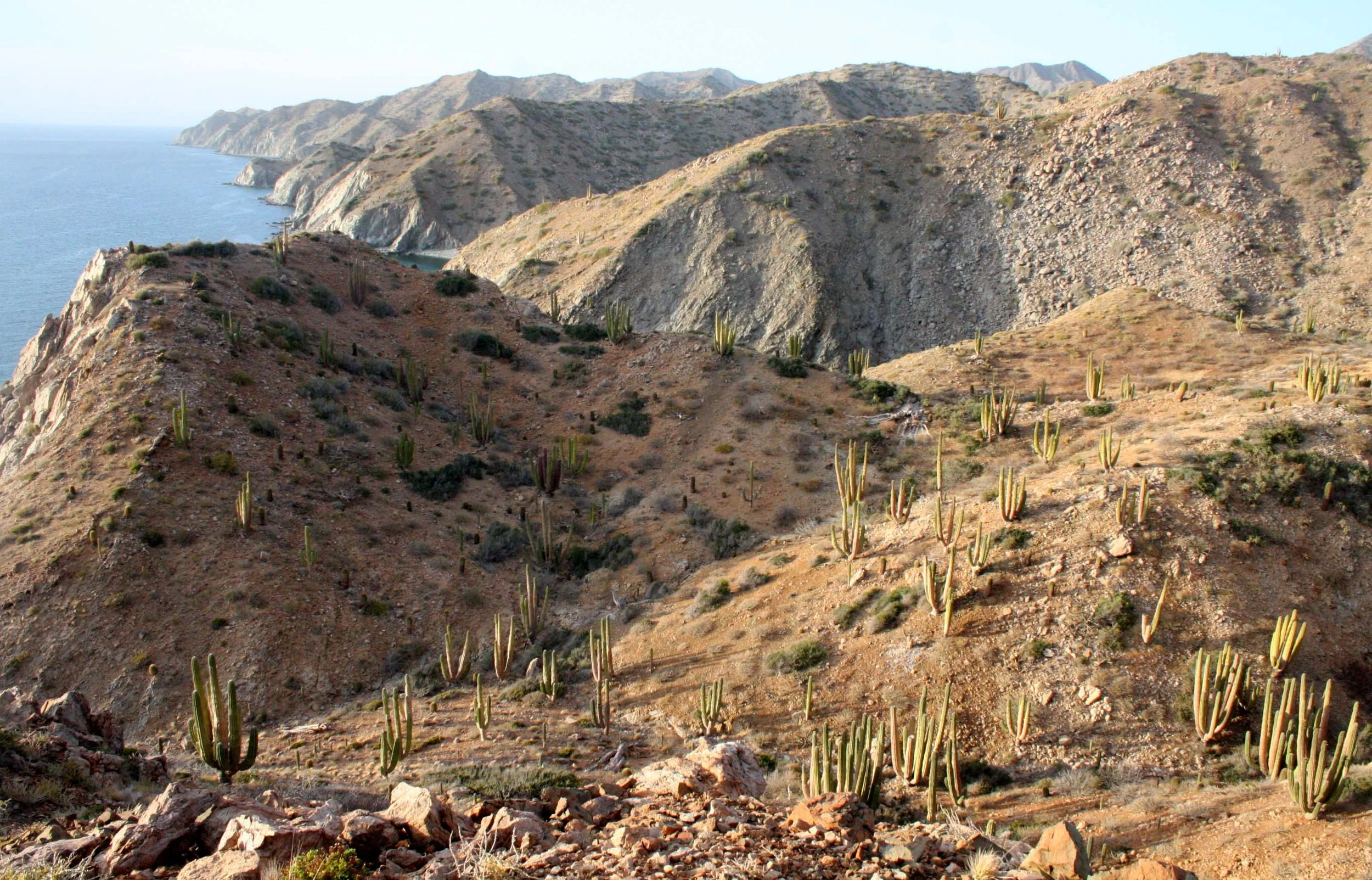 ISLA SANTA CATALINA BAJA MEXIO - VIEWS OF THE WEST SIDE OF THE ISLAND (9).JPG