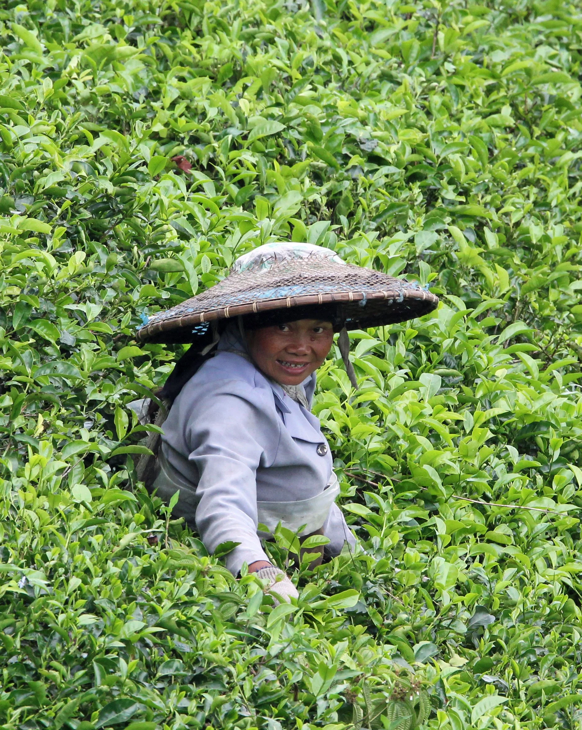 HALIMUN NATIONAL PARK JAVA BARAT INDONESIA (44).JPG