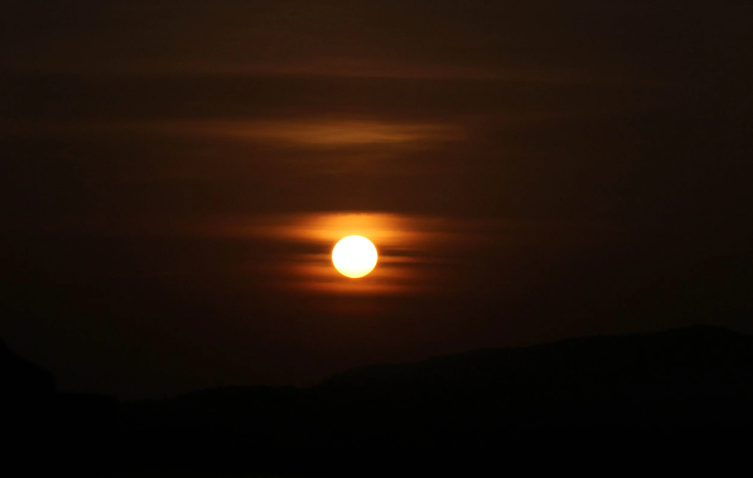 SIRIGIYA FOREST AND FORTRESS AREA SRI LANKA - PHOTO BY SOM SMITH (13).JPG