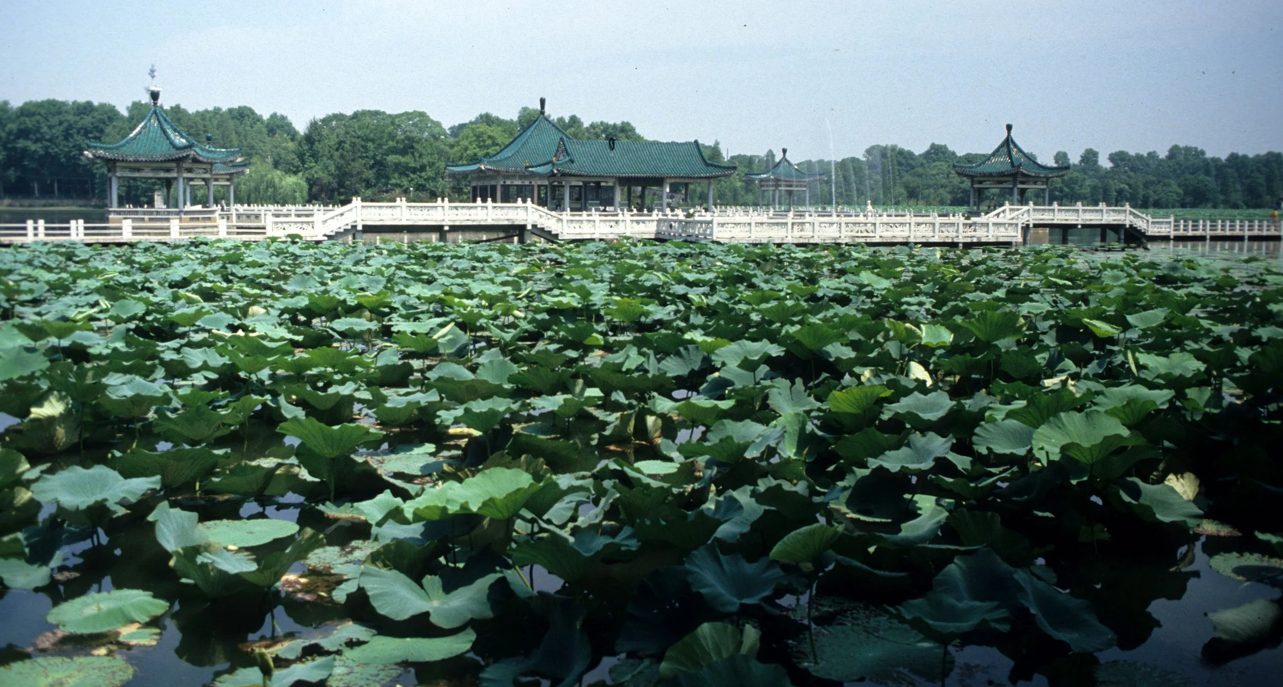 WUHAN - CHINA (4).jpg