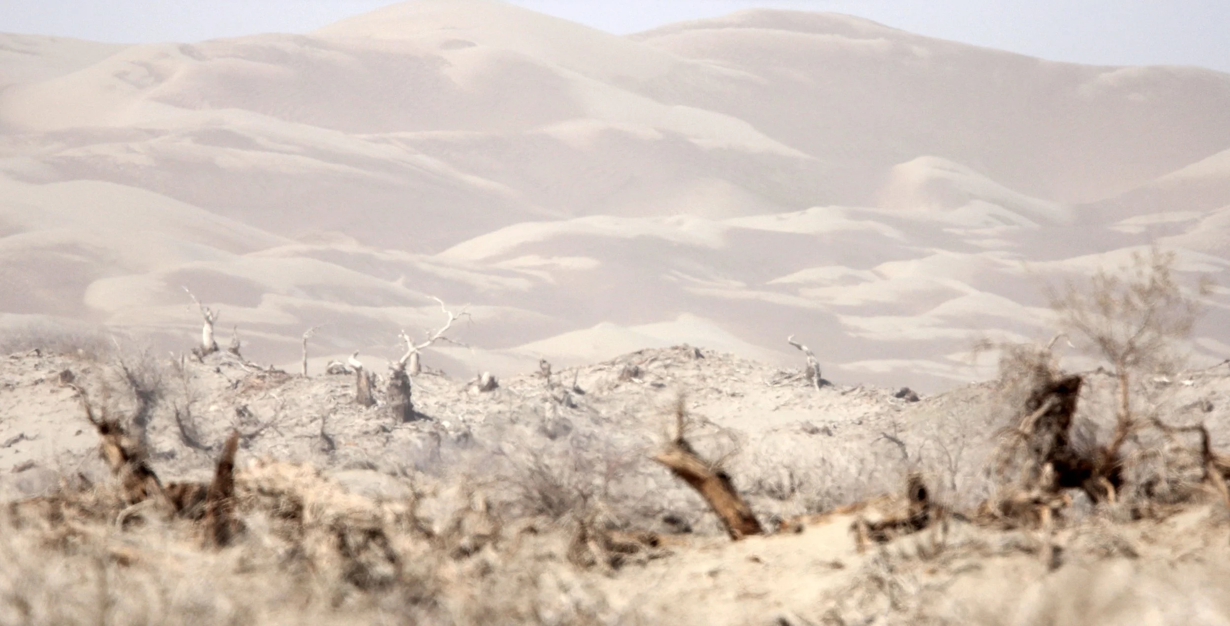 TAKLAMAKAN DESERT - XINJIANG CHINA (3).JPG
