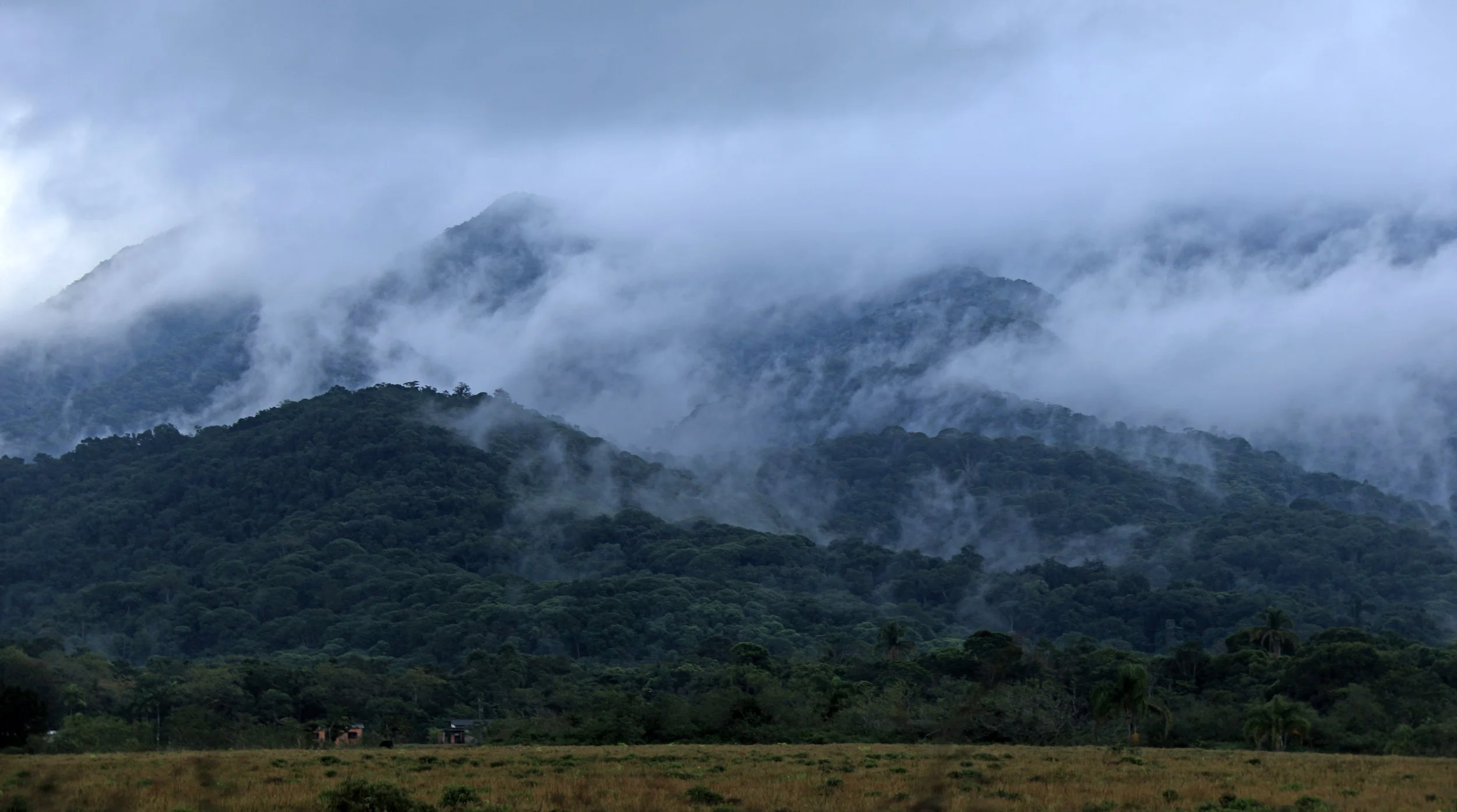 Superagüi National Park, Brazil (238).jpg