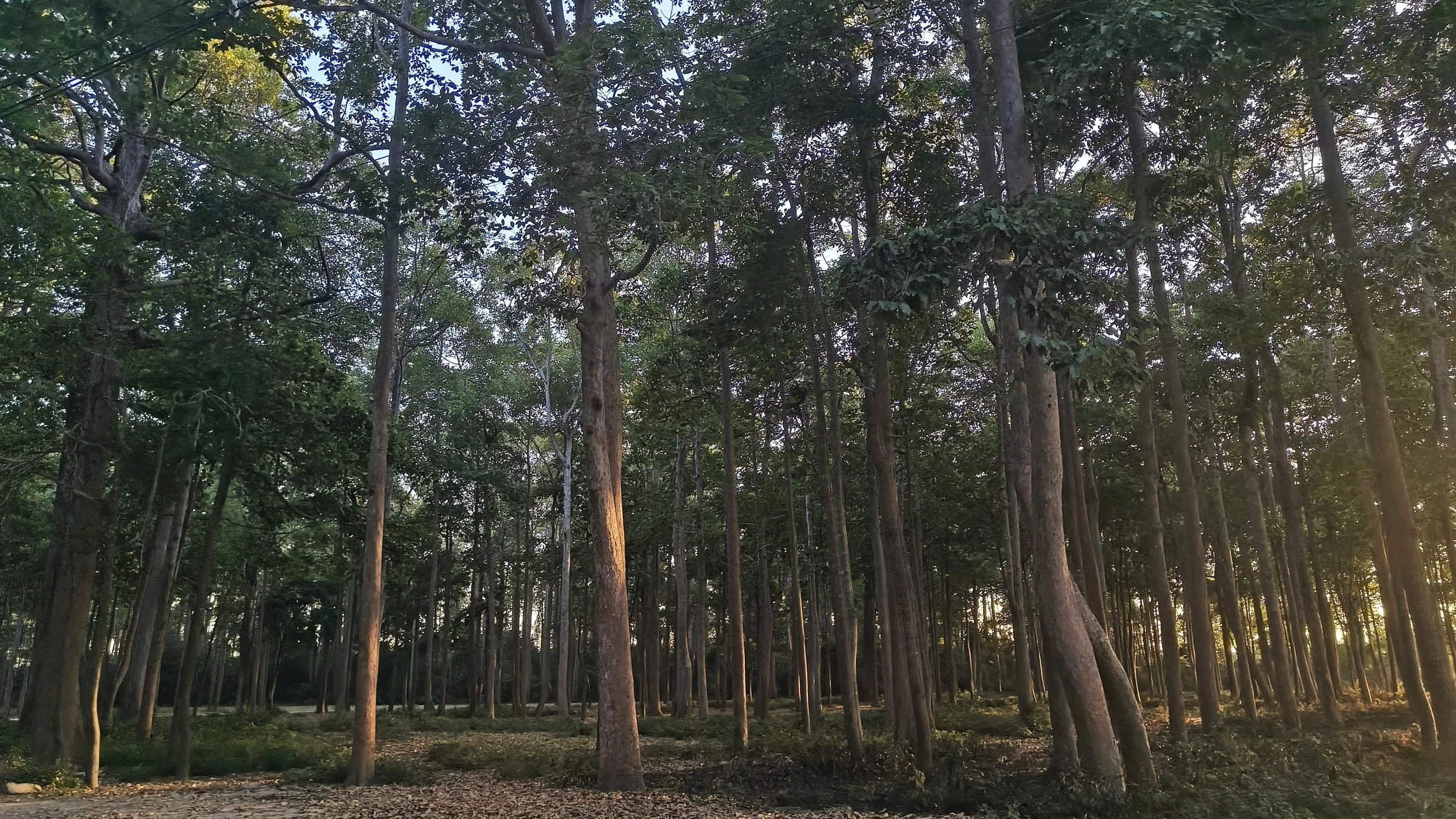 Wat Ku Phra Kona - Roi Et (16).jpg