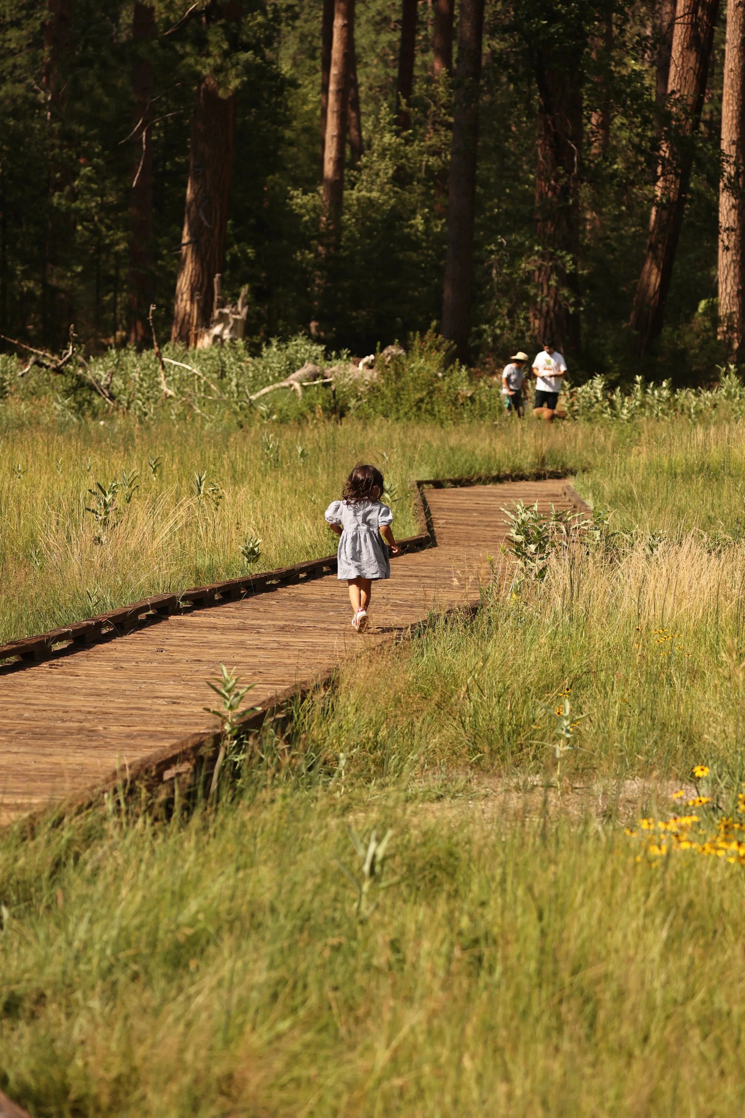 YOSEMITE NATIONAL PARK CALIFORNIA AUGUST 2022 (207).JPG