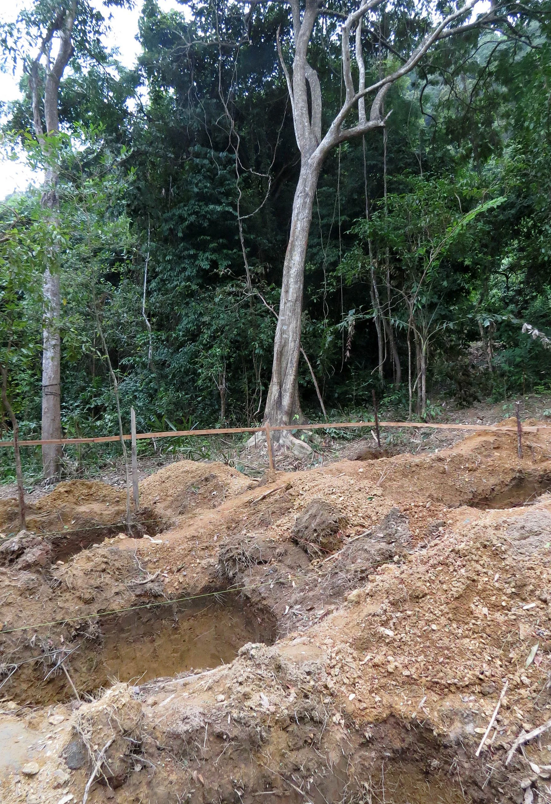 2014 Koh Lanta Build (128).JPG