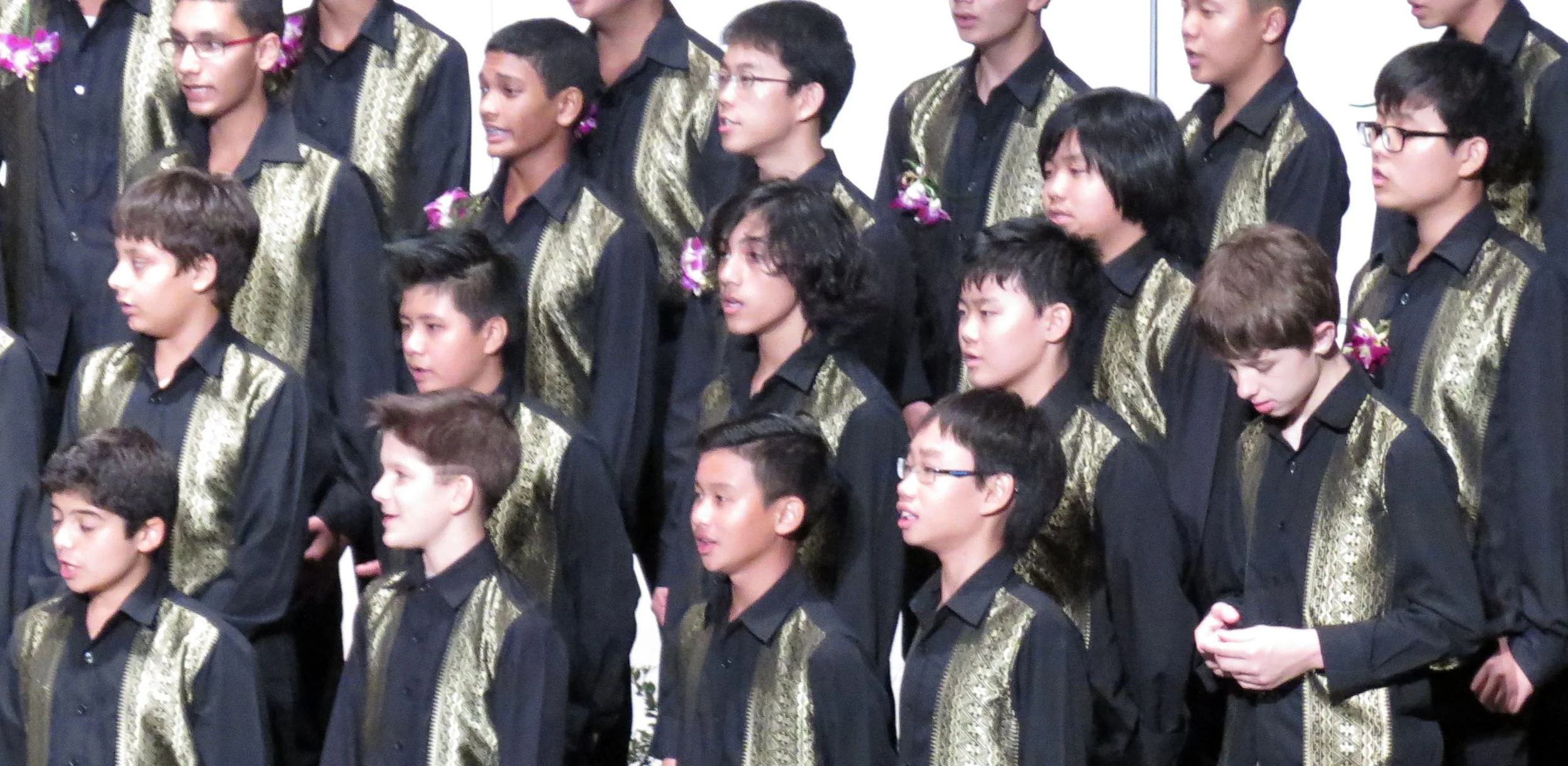 2015 Spring Concert for Cokie at ISB (5).JPG