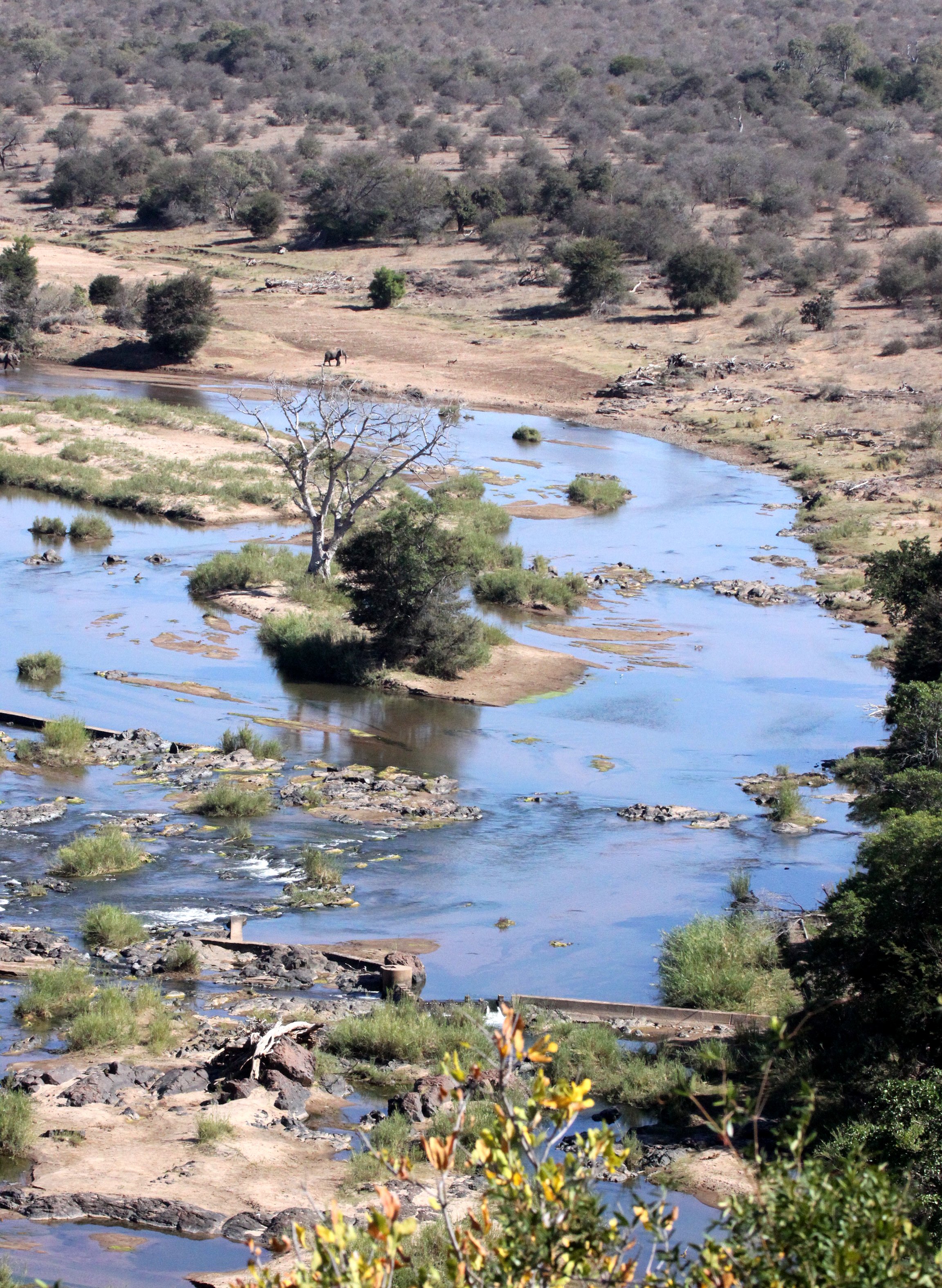KRUGER NATIONAL PARK SOUTH AFRICA - OLIFANT RIVER BASIN (4).JPG