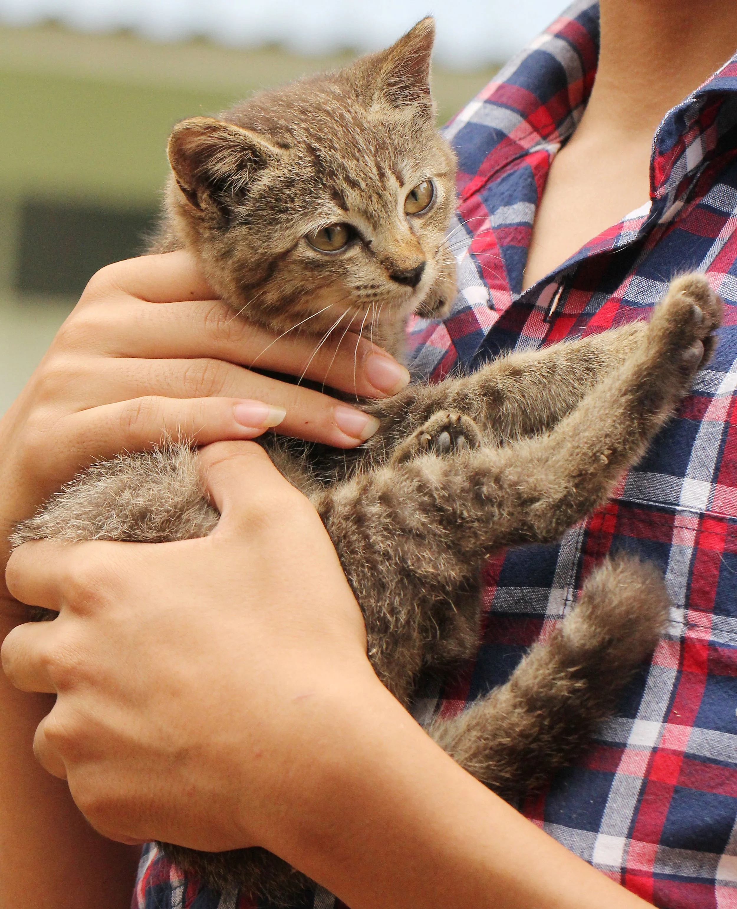 2015 Koh Lanta October Break Trip  (213).JPG