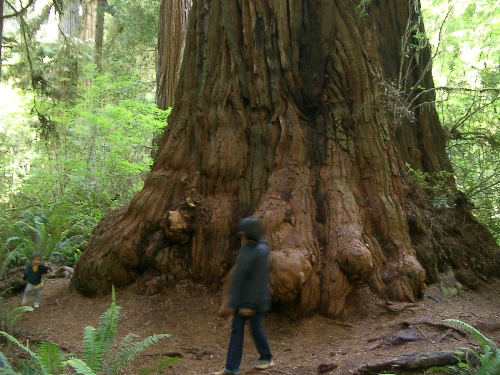 2004-6-12 LARRY AND KATRIS WEDDING IN EUREKA CALIFORNIA (70).JPG