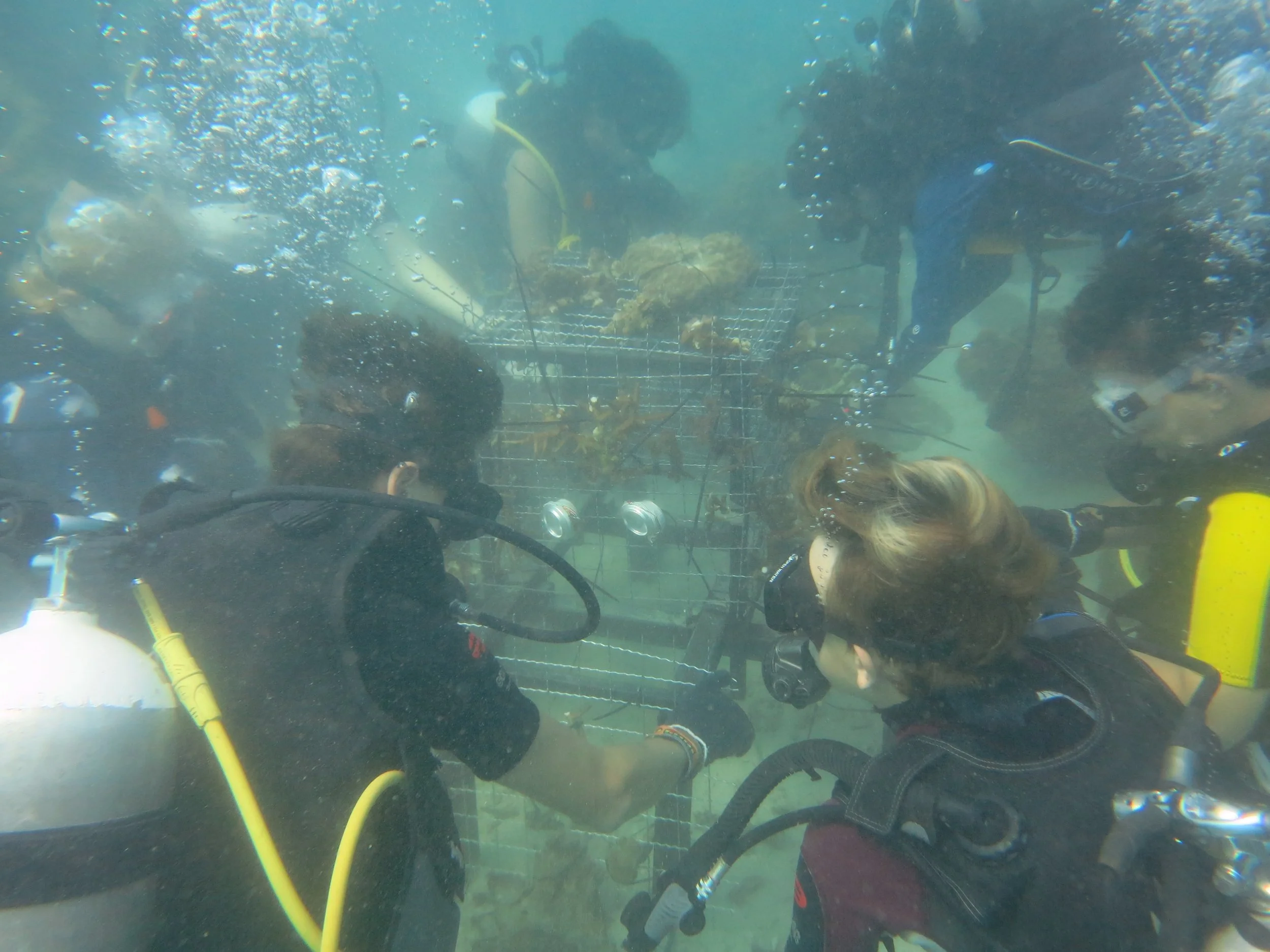 2016 BPS Satthahip Dive Trip with Marine Conservation Club (31).JPG