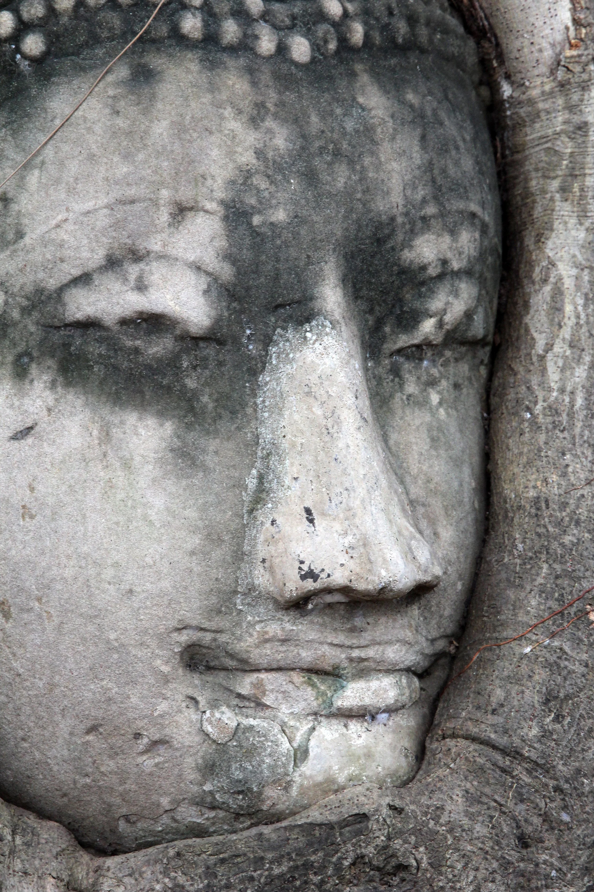 AYUTTHAYA PASSION DAY NOVEMBER 2013 (74).JPG