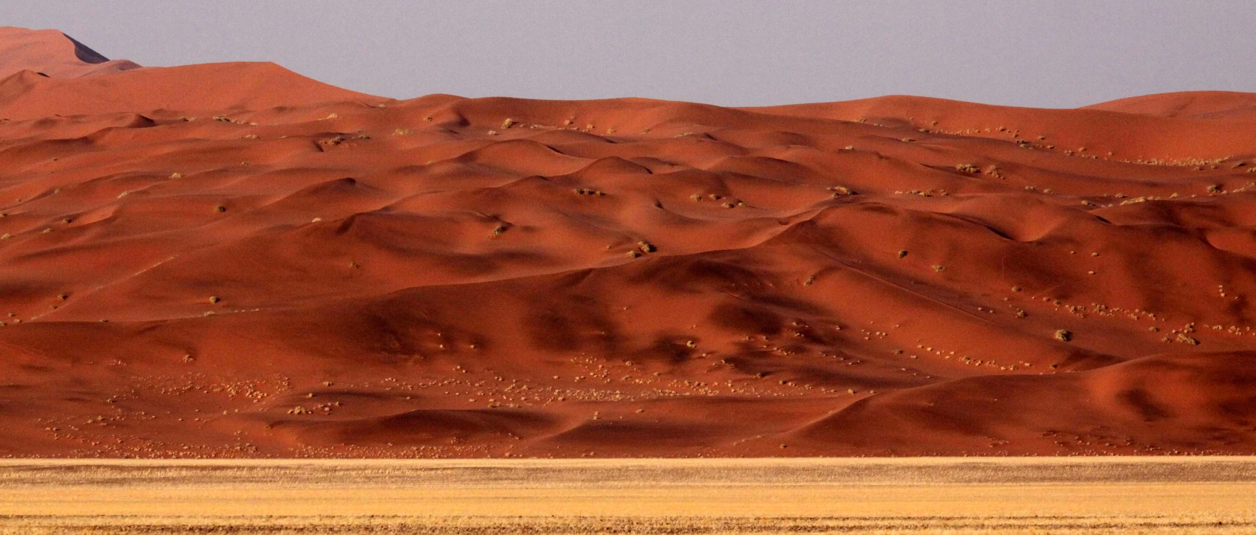 SOSSUSVLEI, NAMIB NAUKLUFT NATIONAL PARK, NAMIBIA (26).JPG
