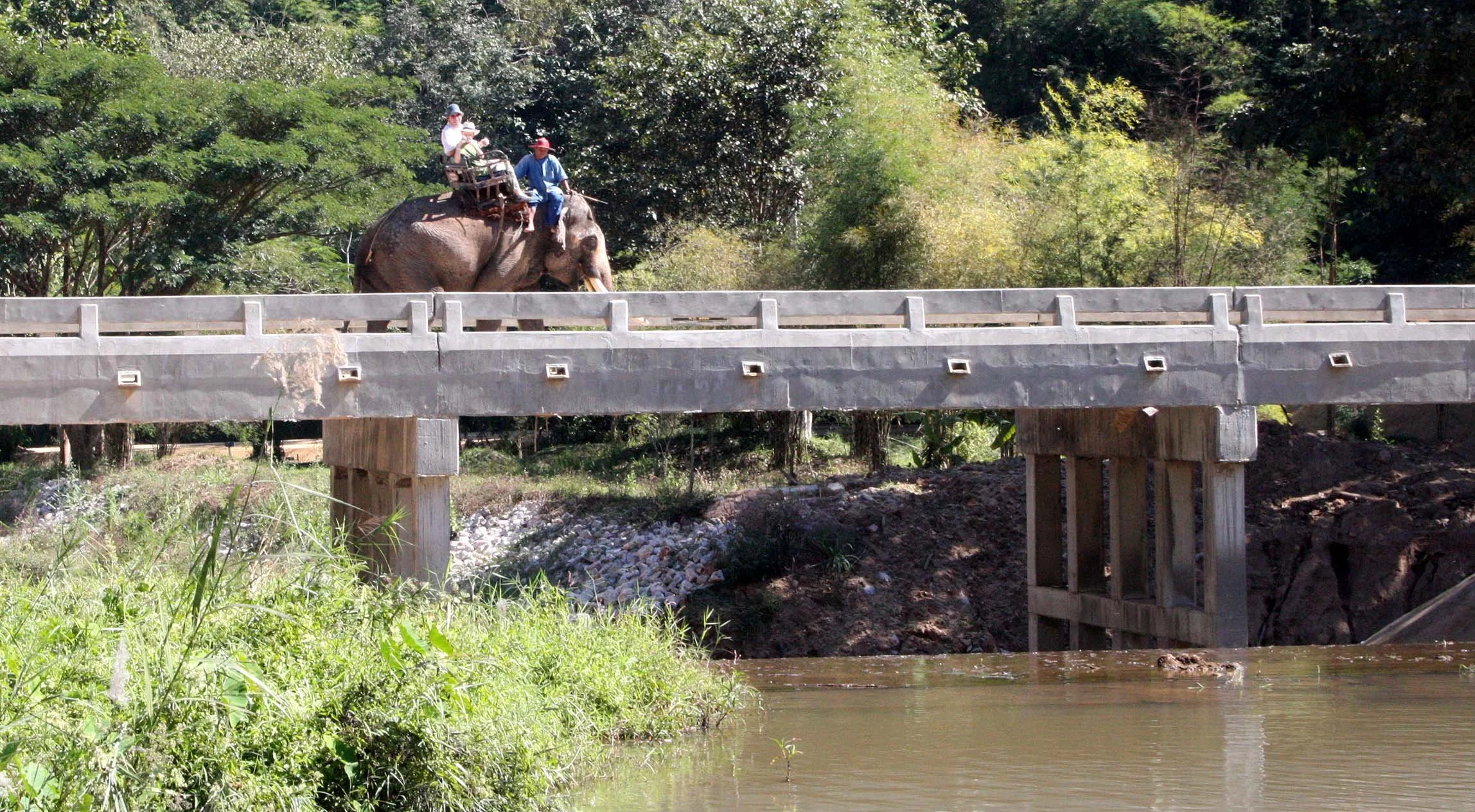 2008 Lampang City & Elephant Center (32).JPG