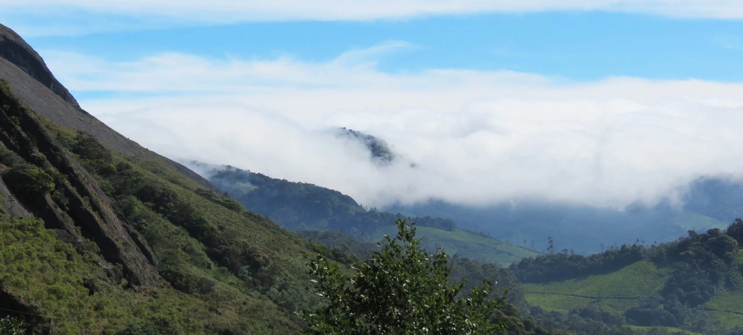 ERAVIKULUM NATIONAL PARK INDIA (27).JPG