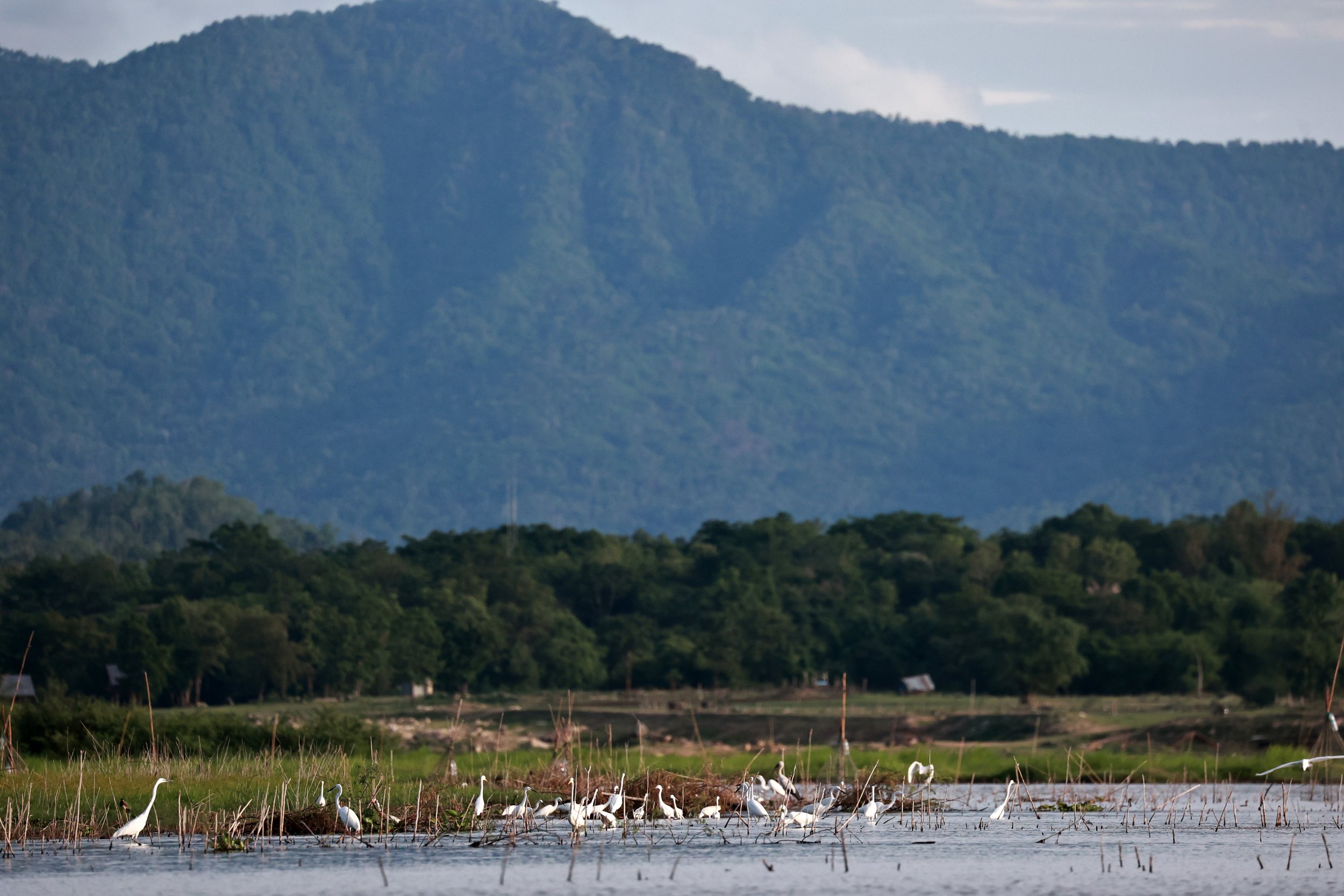 Bird watching in Thap Salao Dam Lake.