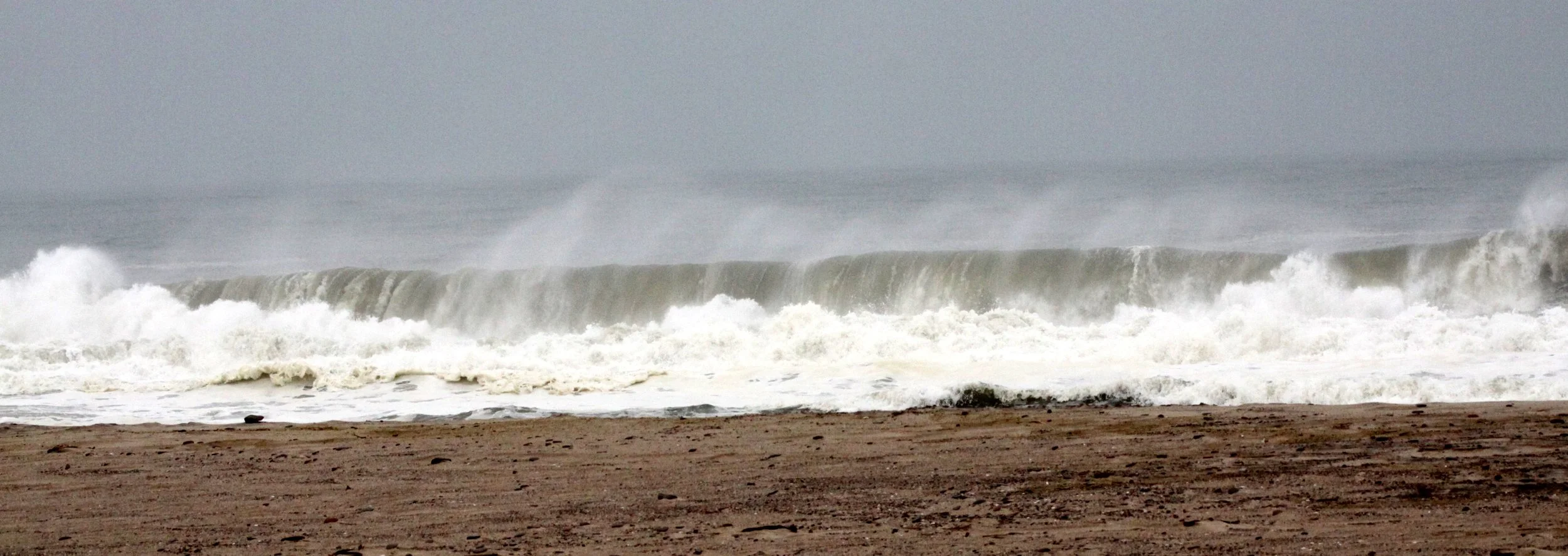 NAMIBIA - SKELETON COAST NATIONAL PARK - SCENERY (16).JPG