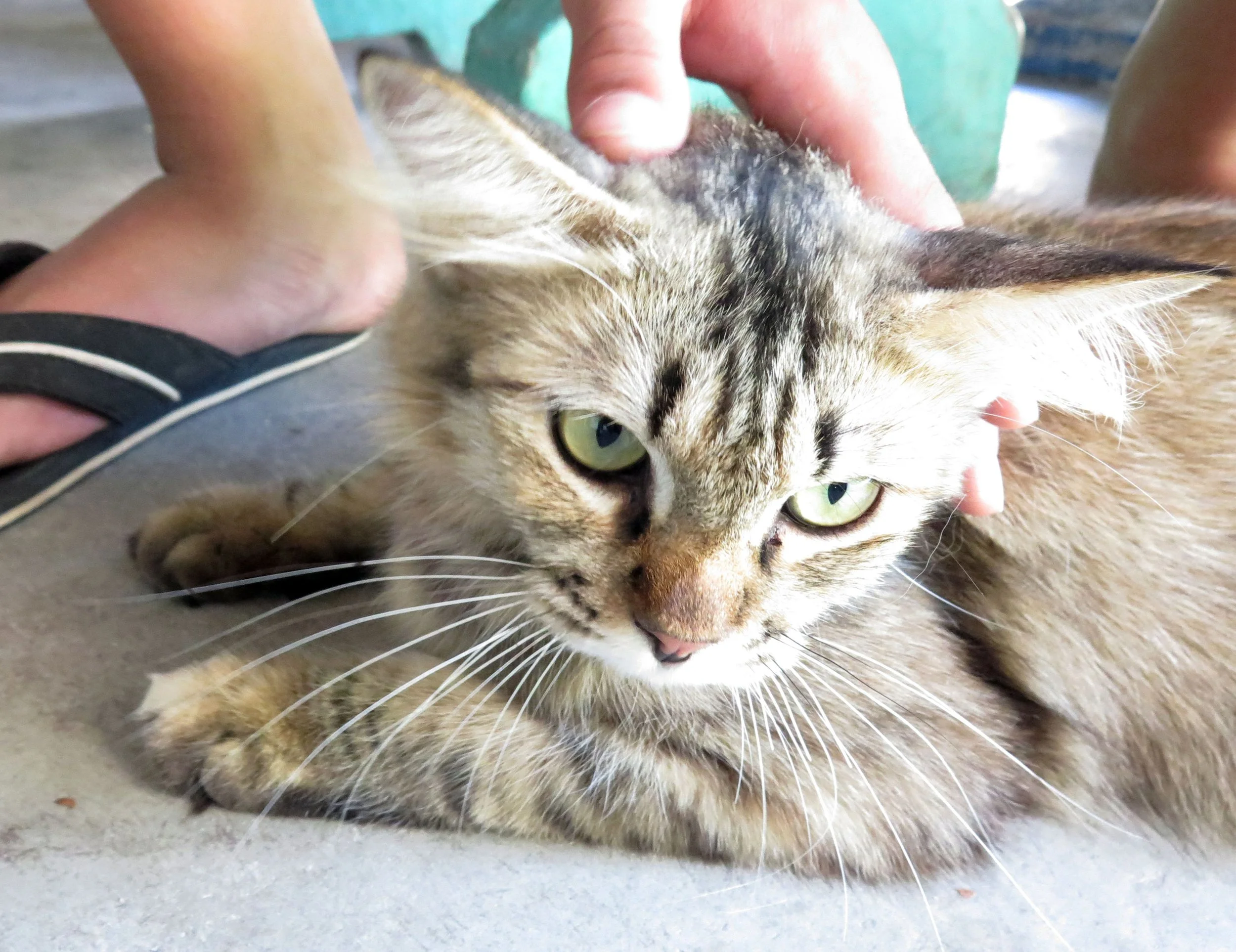 2014 Nakhonsithammarat with Family (92).JPG