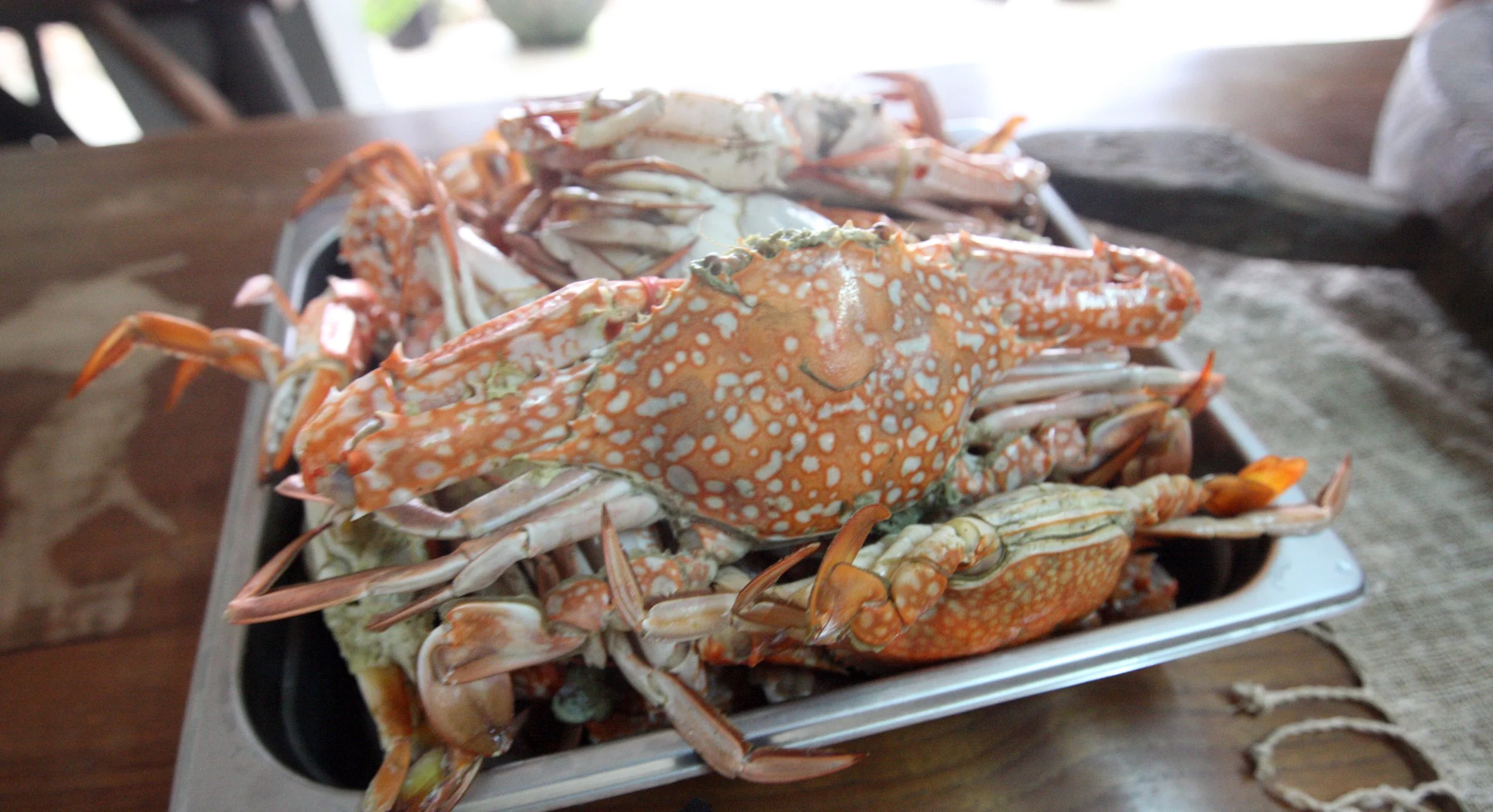 2016 Koh Lanta Spring Break with Family & Guests (204).JPG