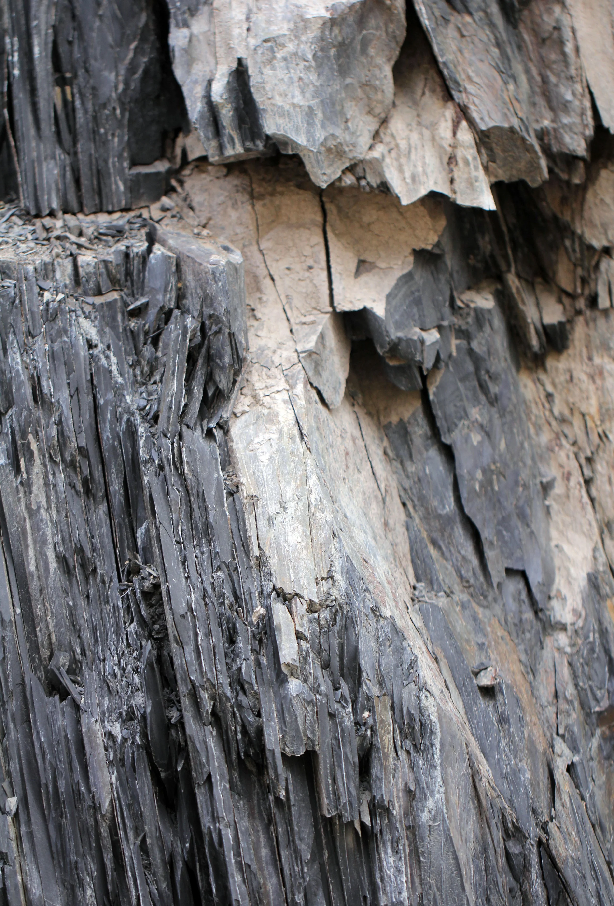 HEMIS NATIONAL PARK - LADAKH INDIA - JAMMU & KASHMIR NEAR RUMBAK VILLAGE (193).JPG