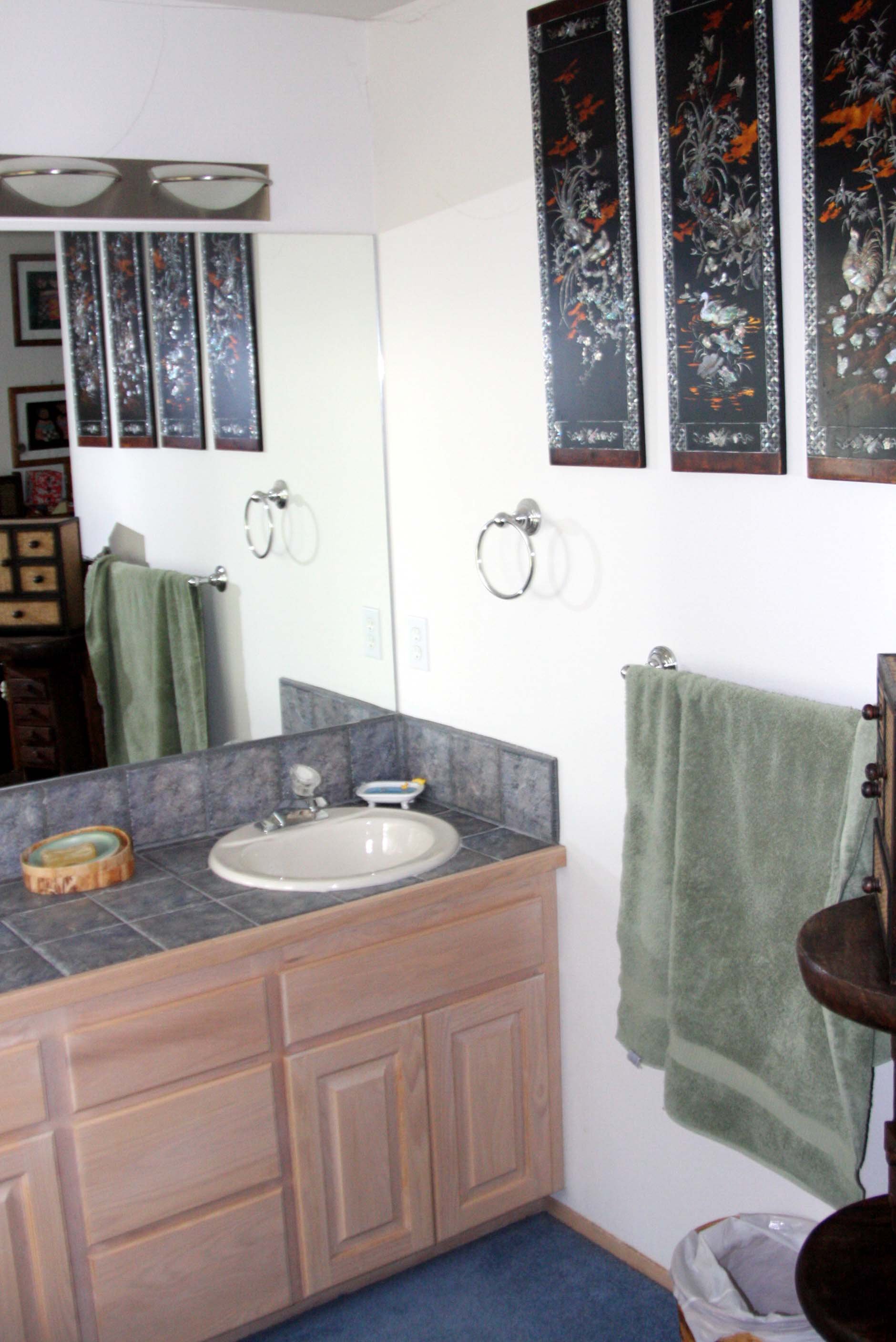 2009-4-24 - HOUSE - MASTER BATH - THIRD LEVEL (4).JPG