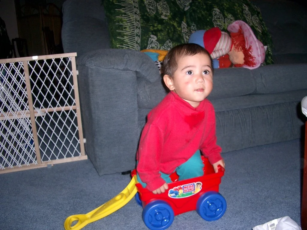 2003-11-16 COKIE PLAYING AT HOME.JPG