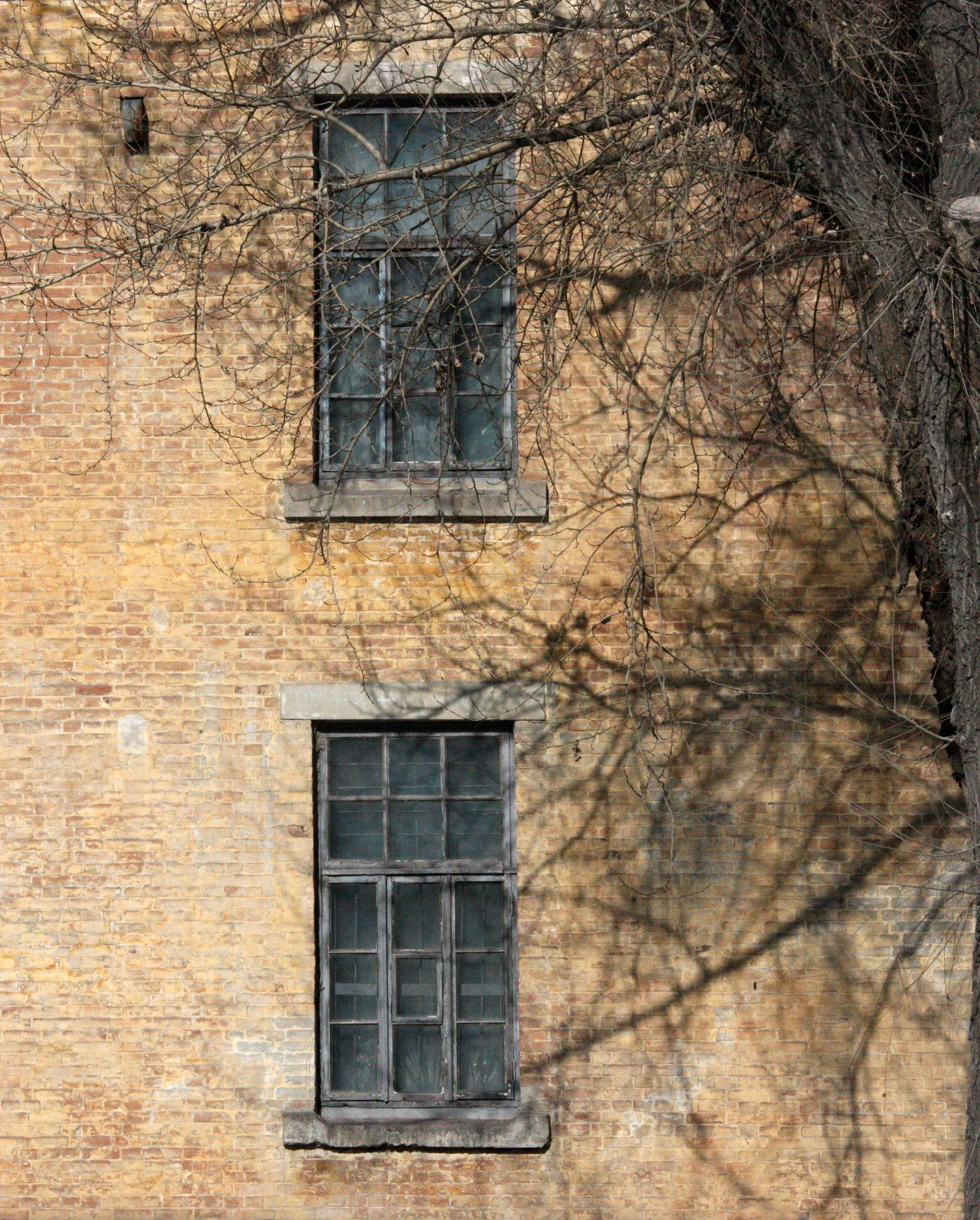 UNIT 731 HARBIN CHINA (59).JPG