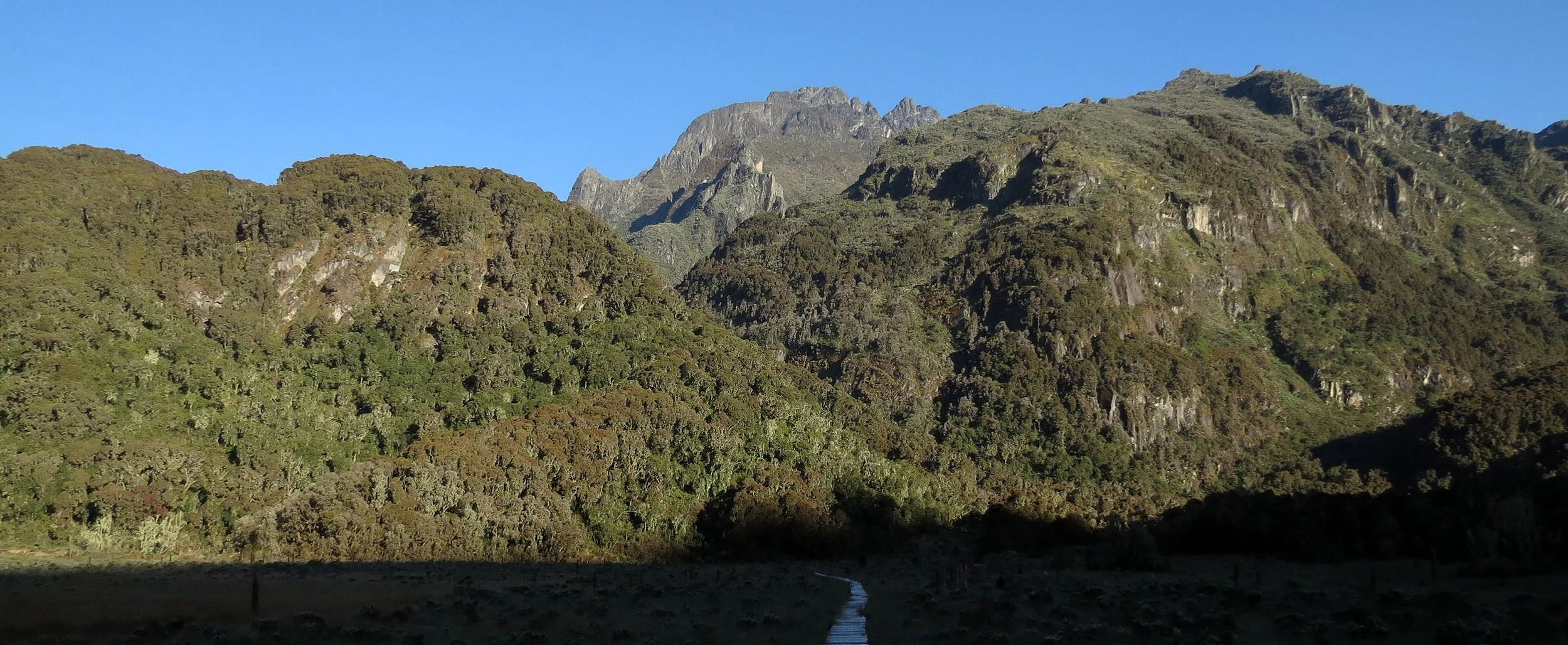RWENZORI NATIONAL PARK UGANDA (245).JPG