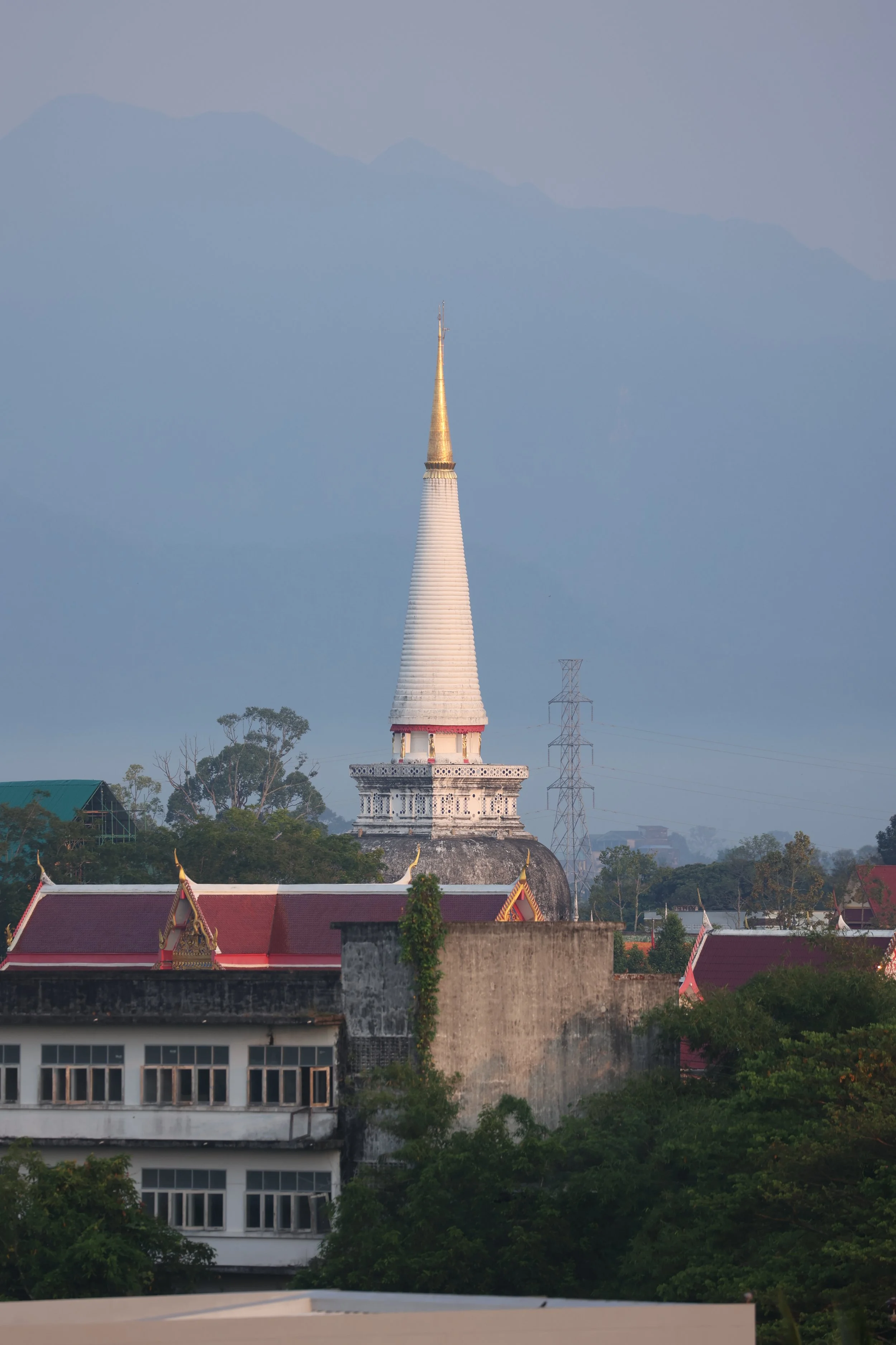 2022 Nakhonsithammarat Wat Mahatat and City Scenes with Cokie (6).JPG