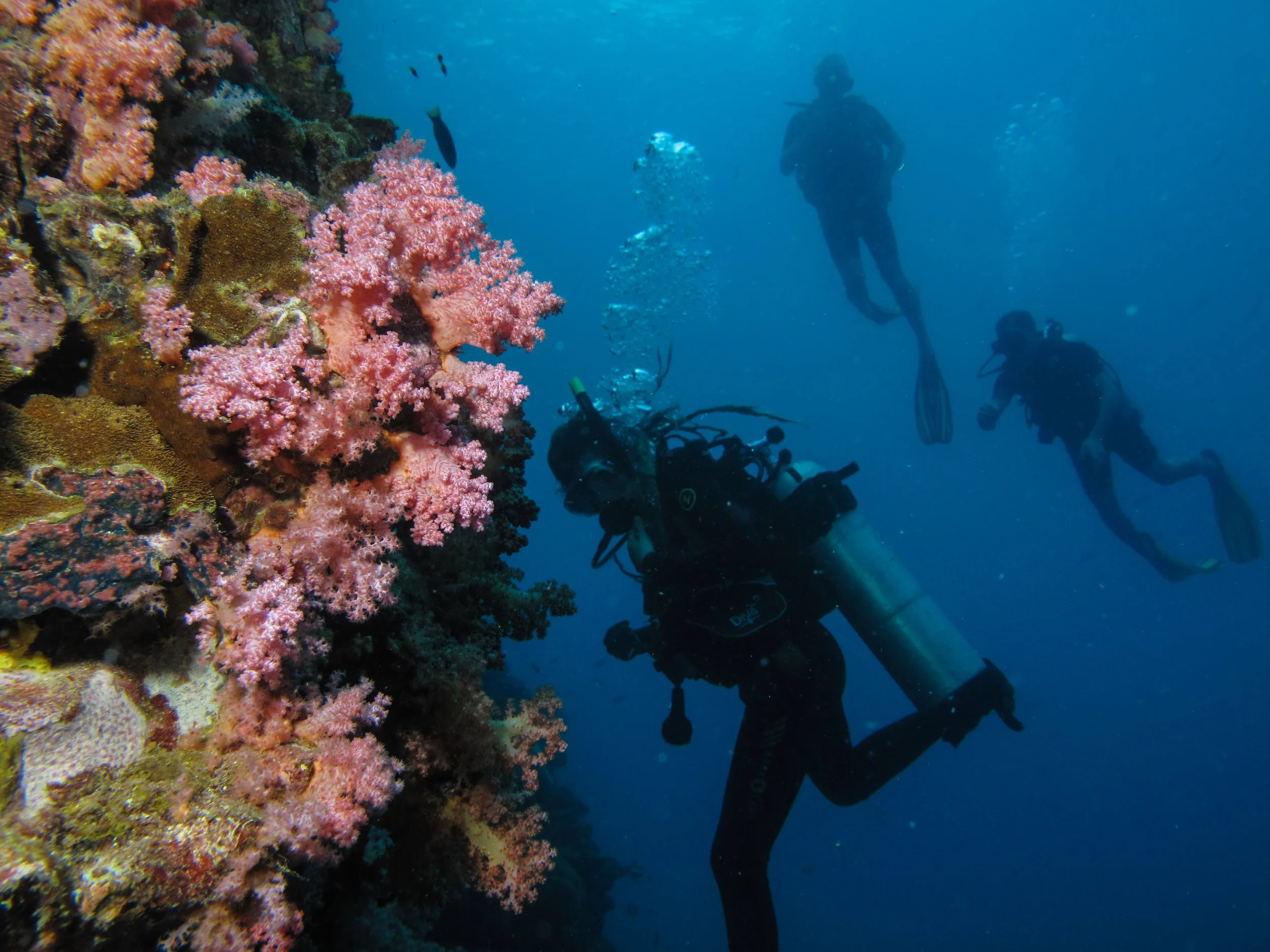 2013 Koh Lanta Dive Trip Koh Ha (101).jpg