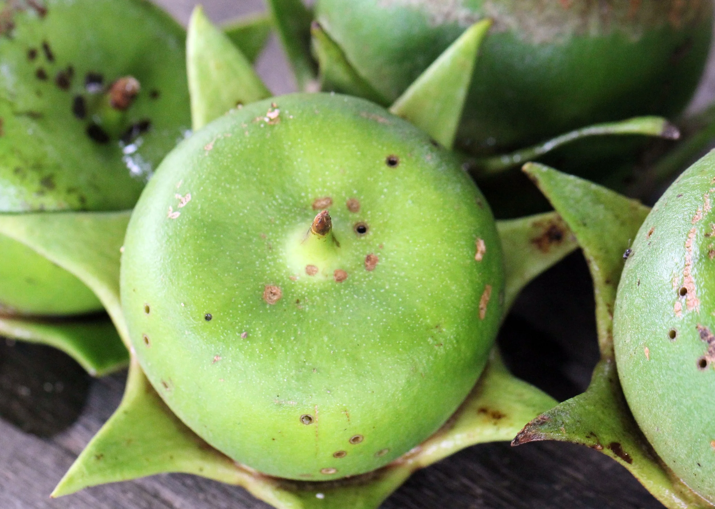 2015 Koh Lanta October Break Trip  (117).JPG