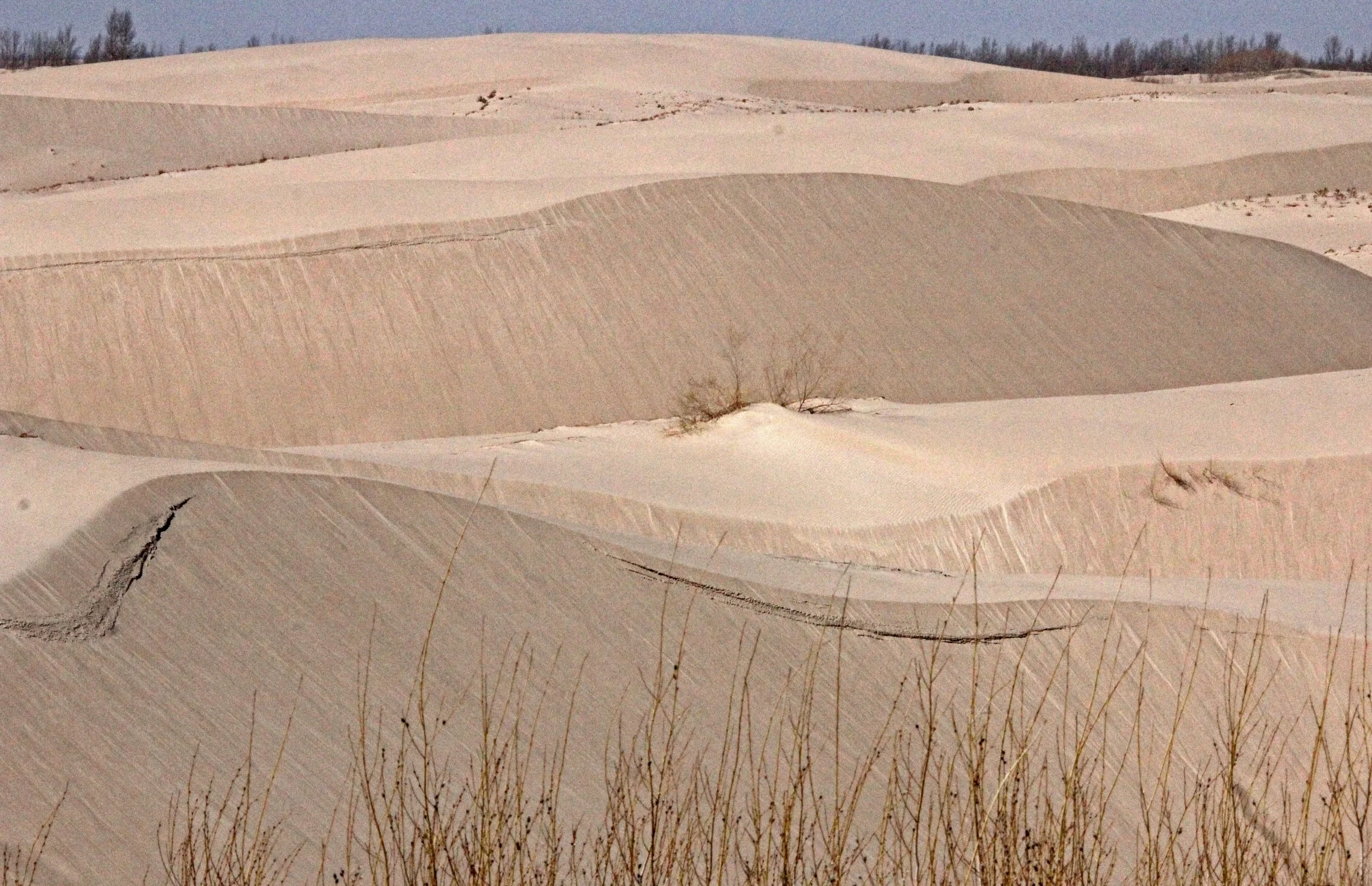 INNER MONGOLIA 2013 (48).JPG