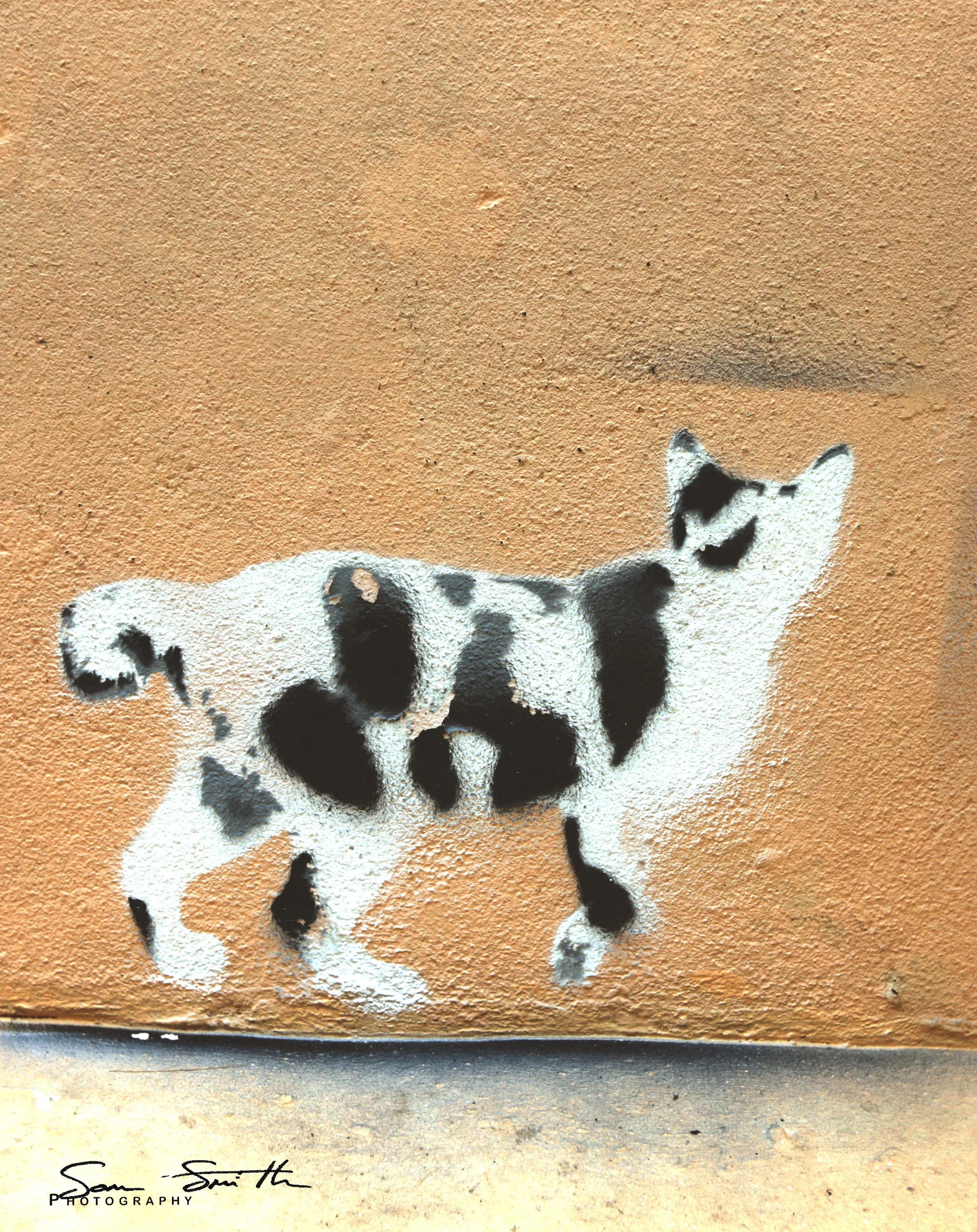 2017 Graffiti Tour in Bangkok (246).JPG