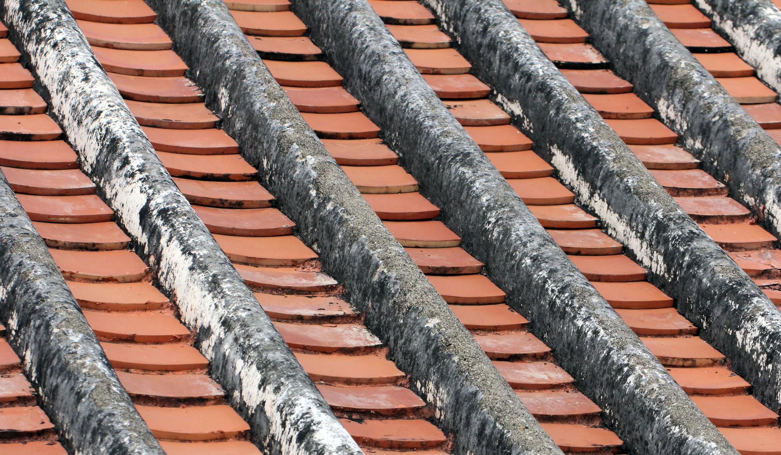 2013 Cha'am and Petchaburi with Family & Friends (107).JPG