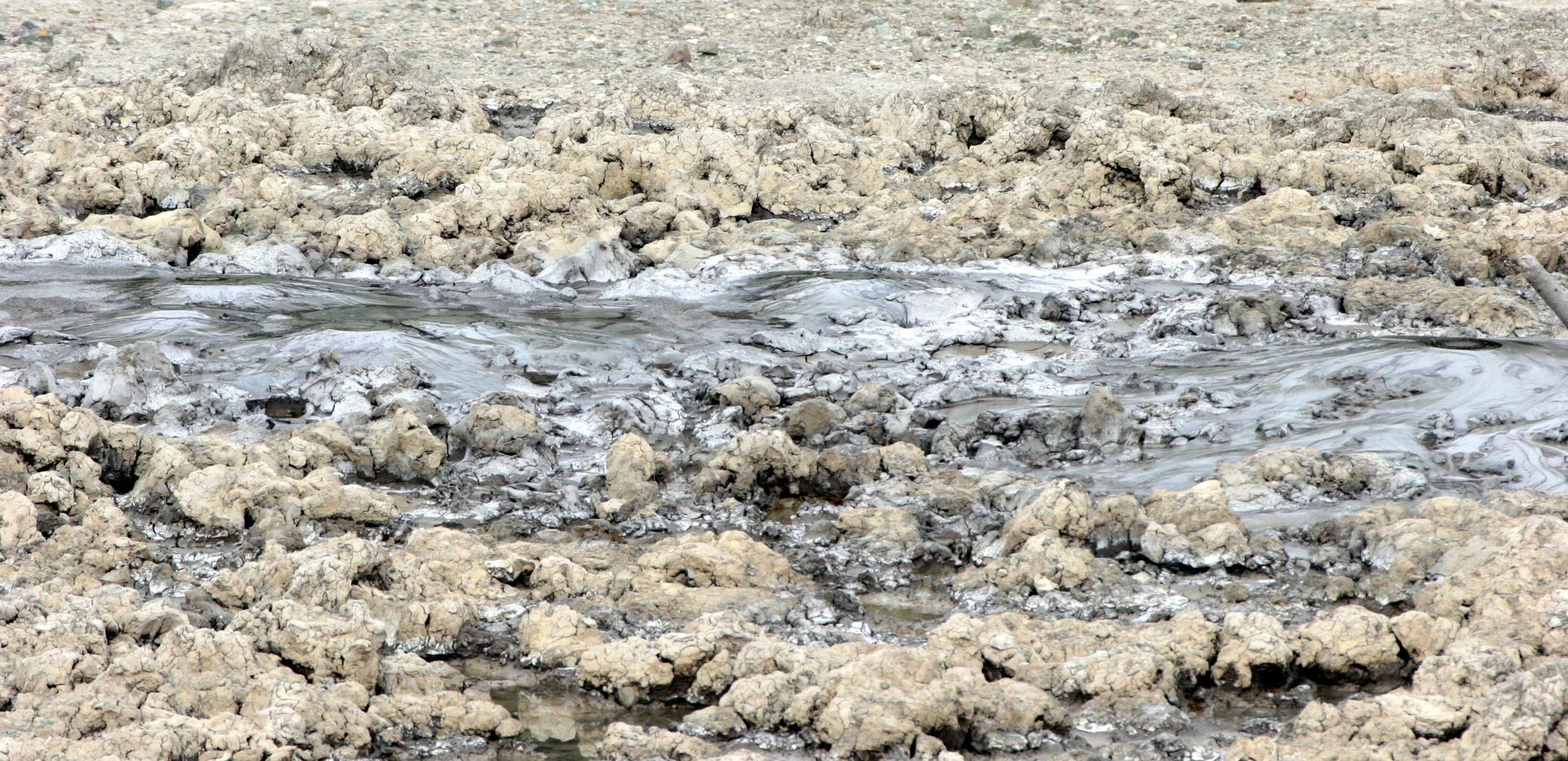 TABIN WILDLIFE RESERVE BORNEO - MUD VOLCANO (3).JPG