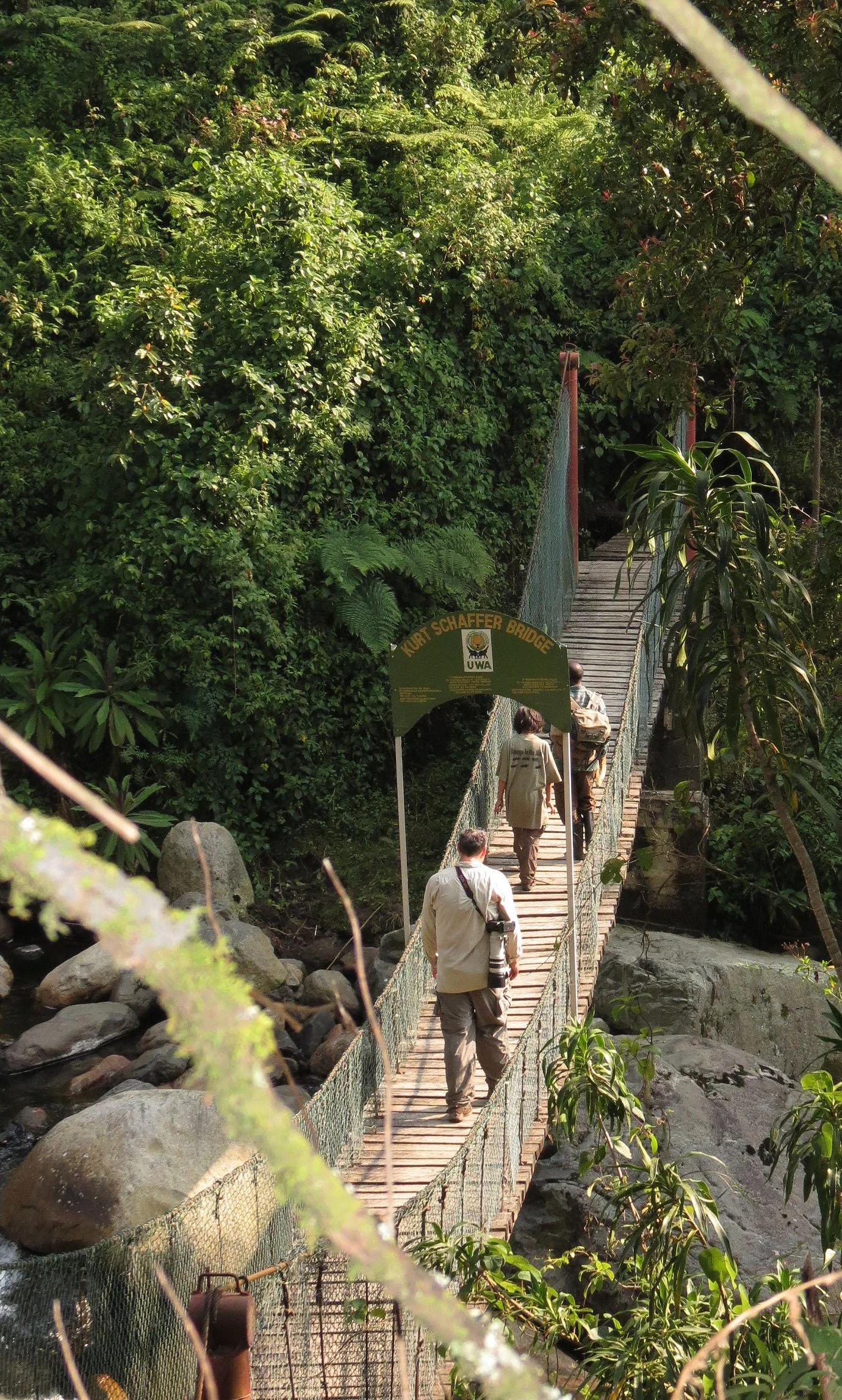 RWENZORI NATIONAL PARK UGANDA (83).JPG