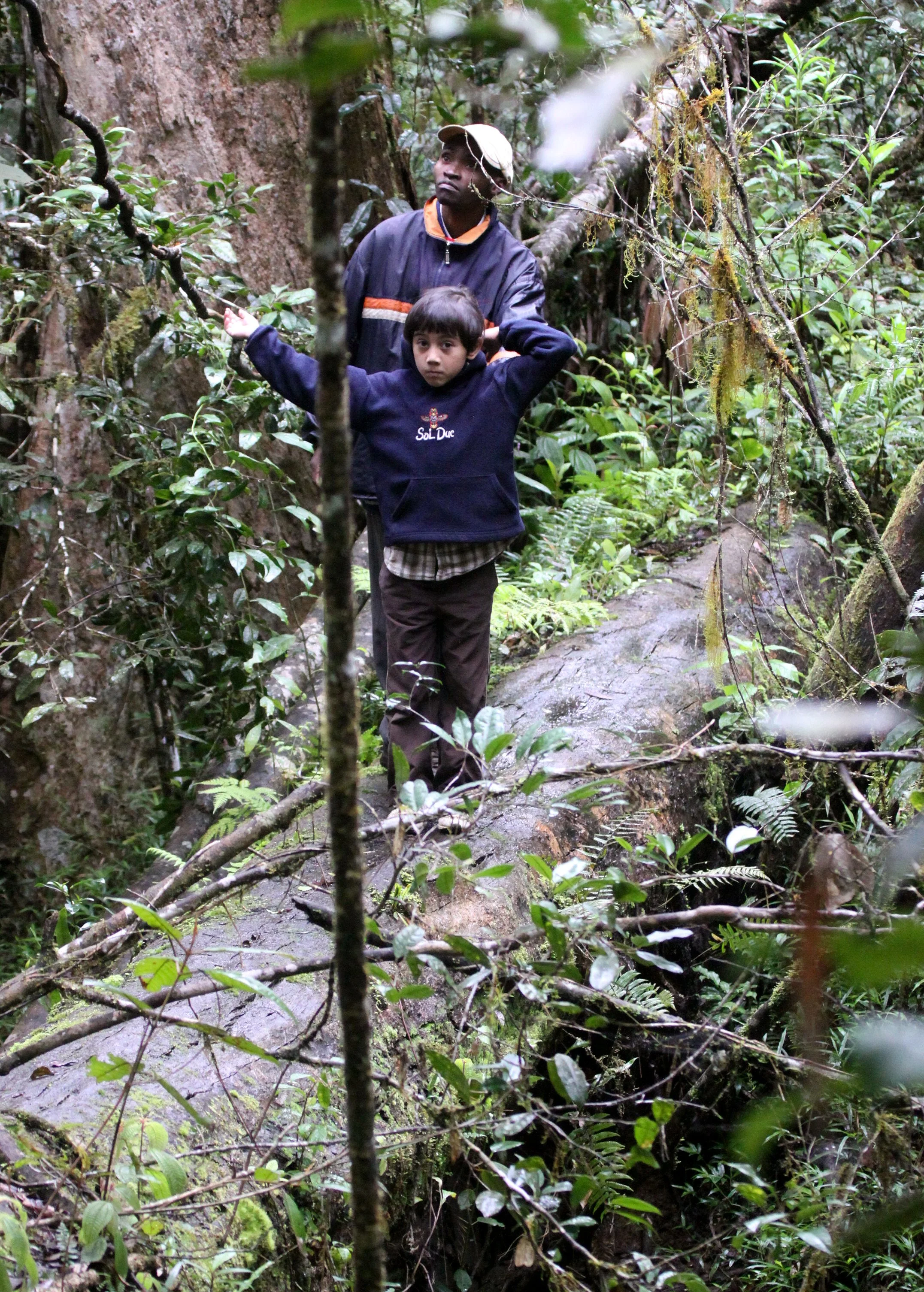ANDISABE NATIONAL PARK MADAGASCAR - PRIMARY FOREST VIEWS (24).JPG