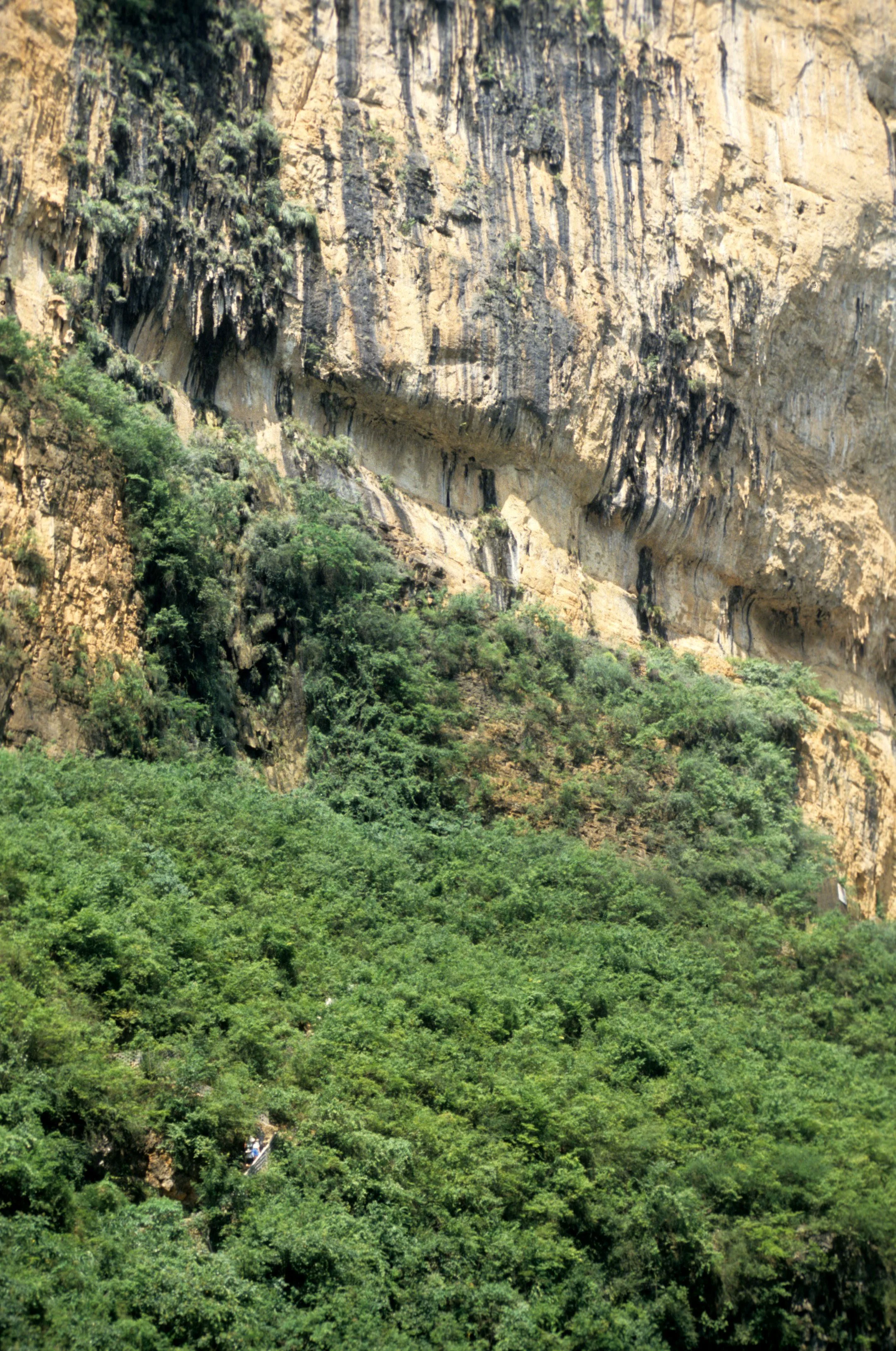 YANGTZE - LITTLE GORGE TRIBUTARY (25).jpg